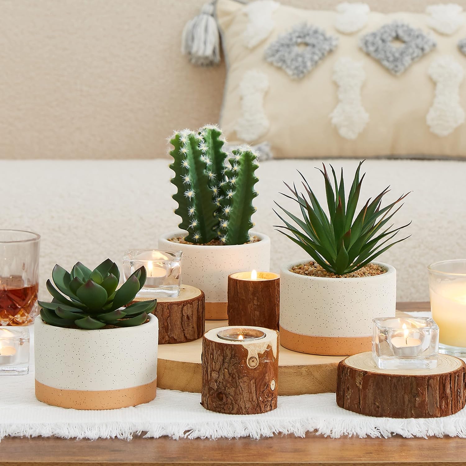 Artificial Succulent Plants in Ceramic Pots / Burlywood