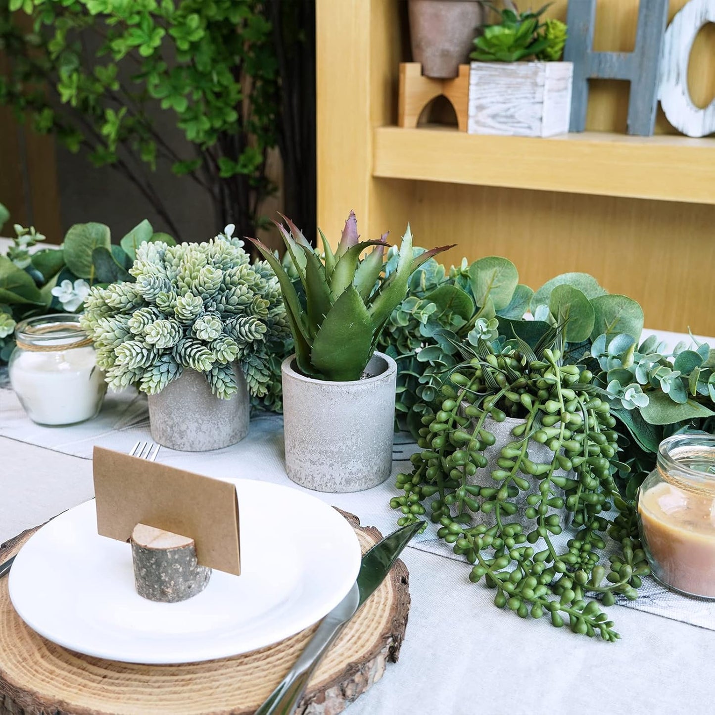 Mini Potted Succulents Artificial String of Pearls Aloe Hops Succulent Plants / Gray / Set of 3
