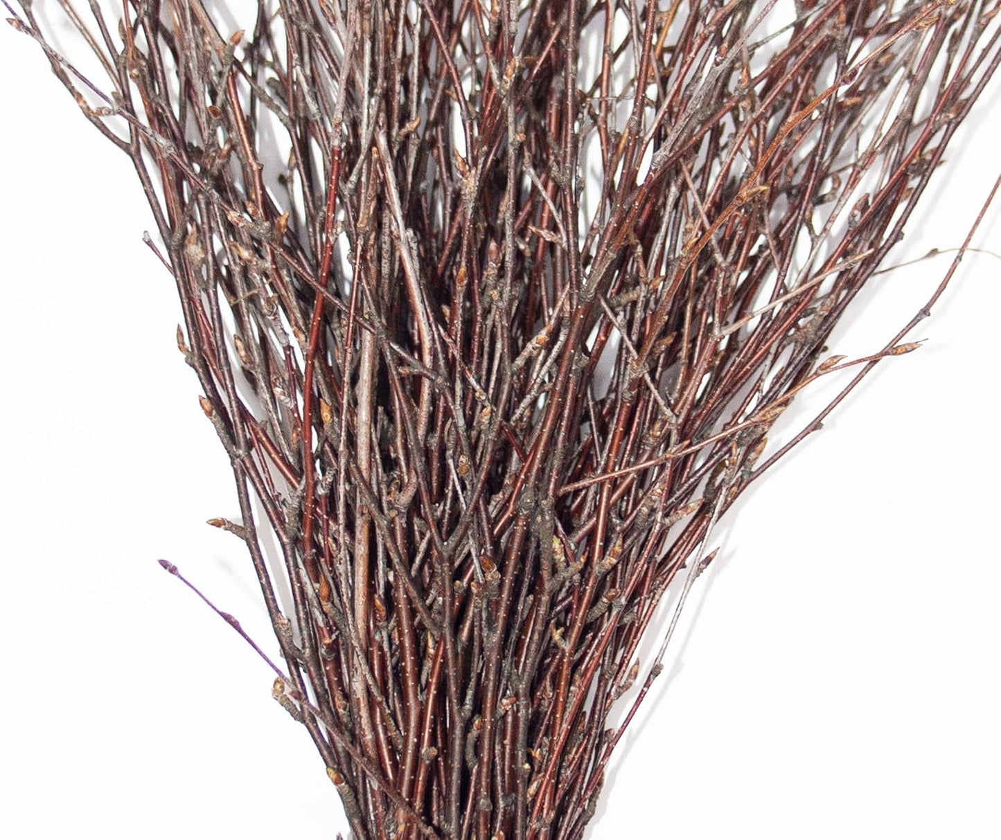100% Natural Decorative Branches for Vases / 50 Psc - Brown