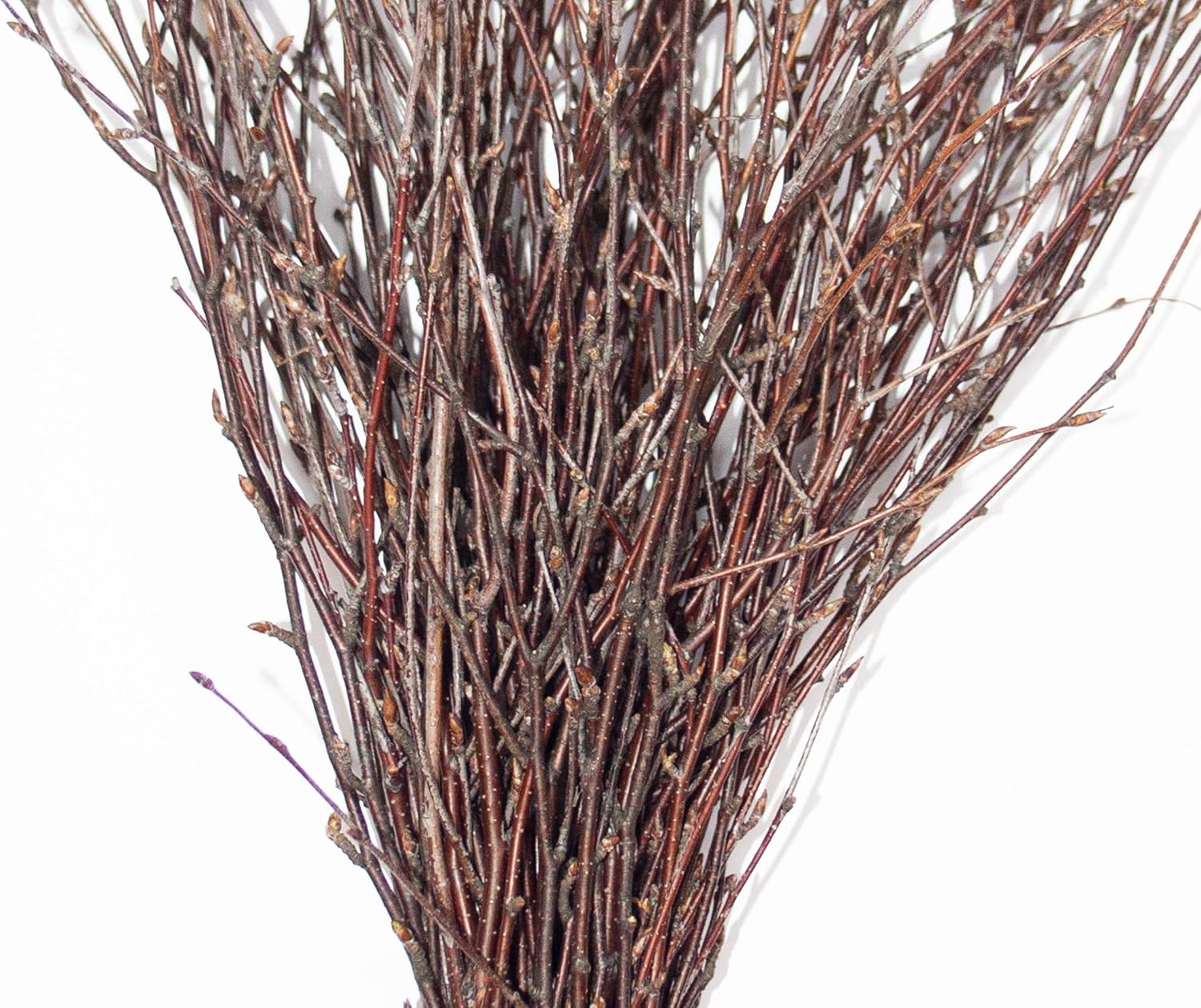 100% Natural Decorative Branches for Vases / 50 Psc - Brown