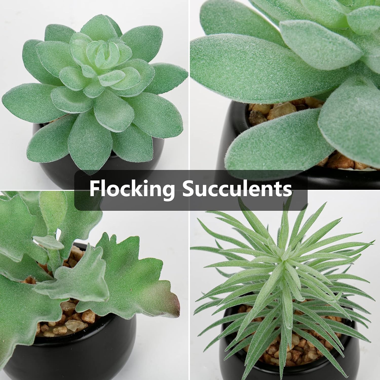 Artificial Succulents Fake Plants Mini Succulents Potted in Ceramic / Type #2 / Black / Set of 3