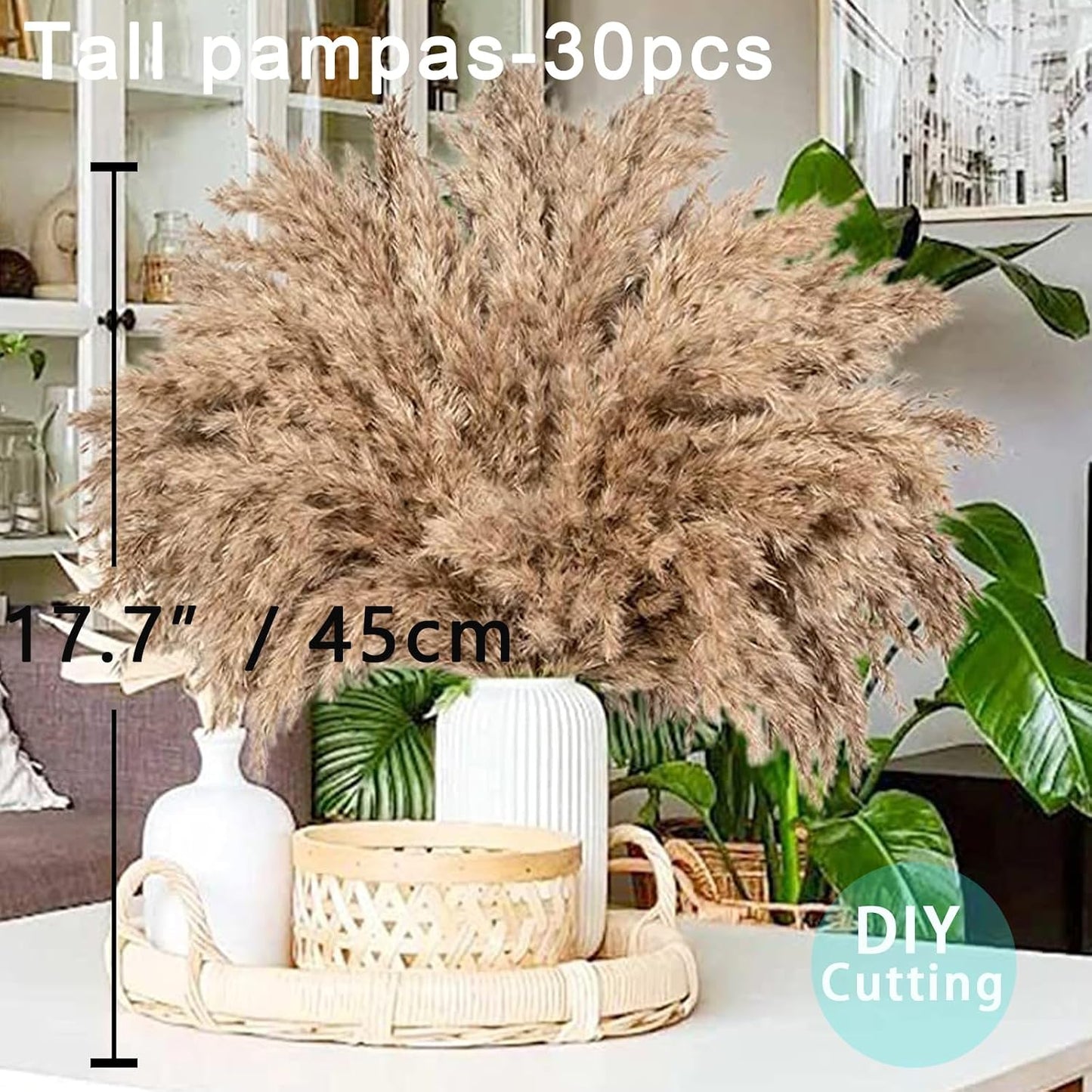 Tall Fluffy Pompas Grass for Floor Vase / 30brown - 17 Inch / Natural / 17 Inch