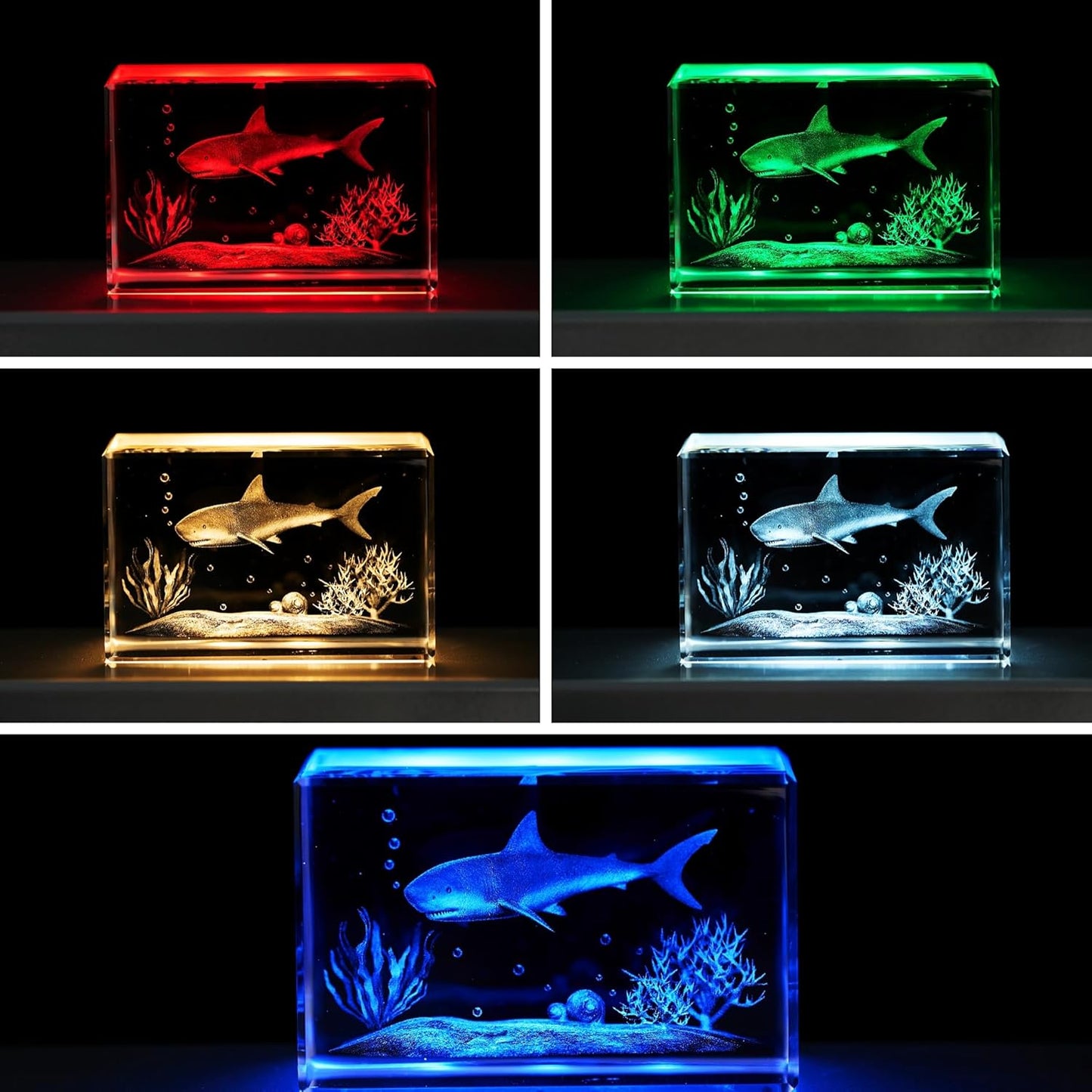 Lighted Up Stand Color Changing Small LED for 3D / Black / Large