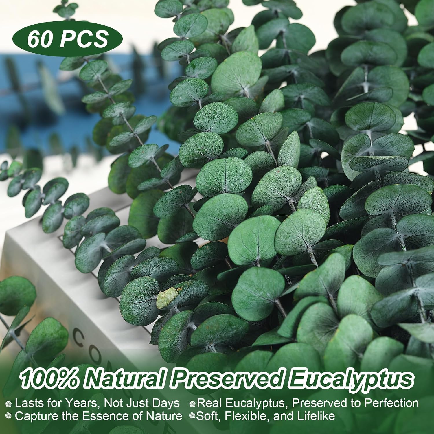 Maintenance-Free Dried / Natural / Set of 60