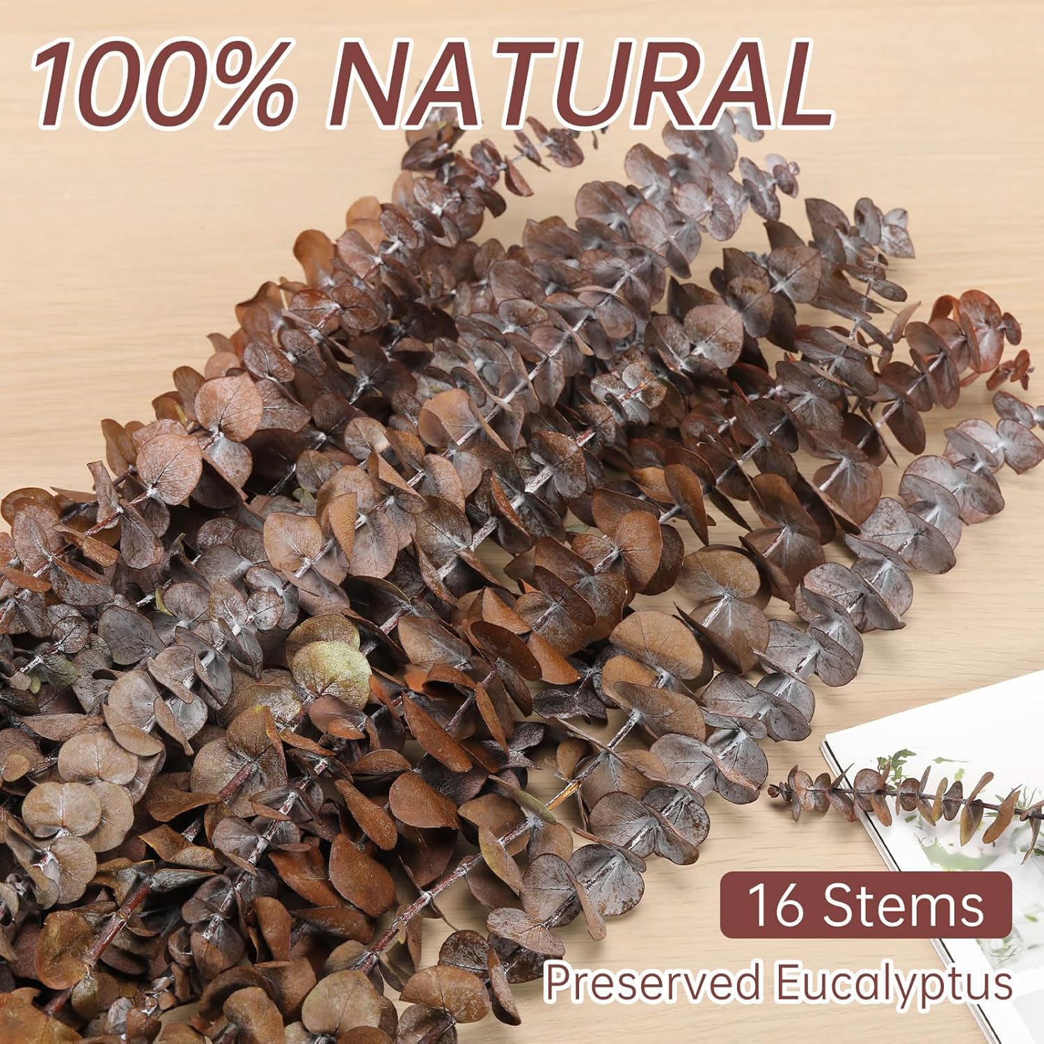 17'' Fresh Eucalyptus Leaves Branches Hanging for Shower / Natural / Set of 16