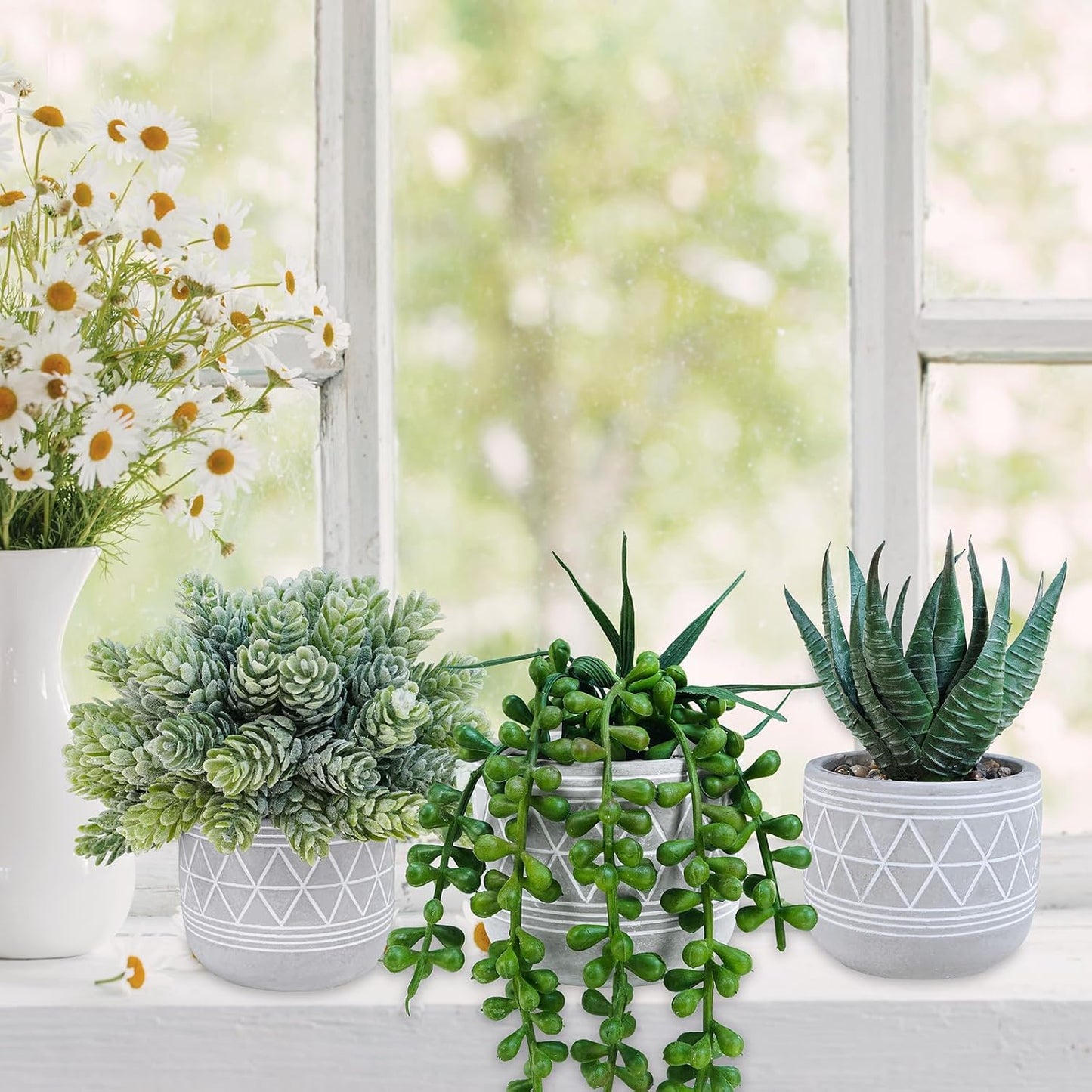 Mini Faux Succulent Potted Plants Artificial Aloe Hops String of Pearls Fake / Gray / Set of 3