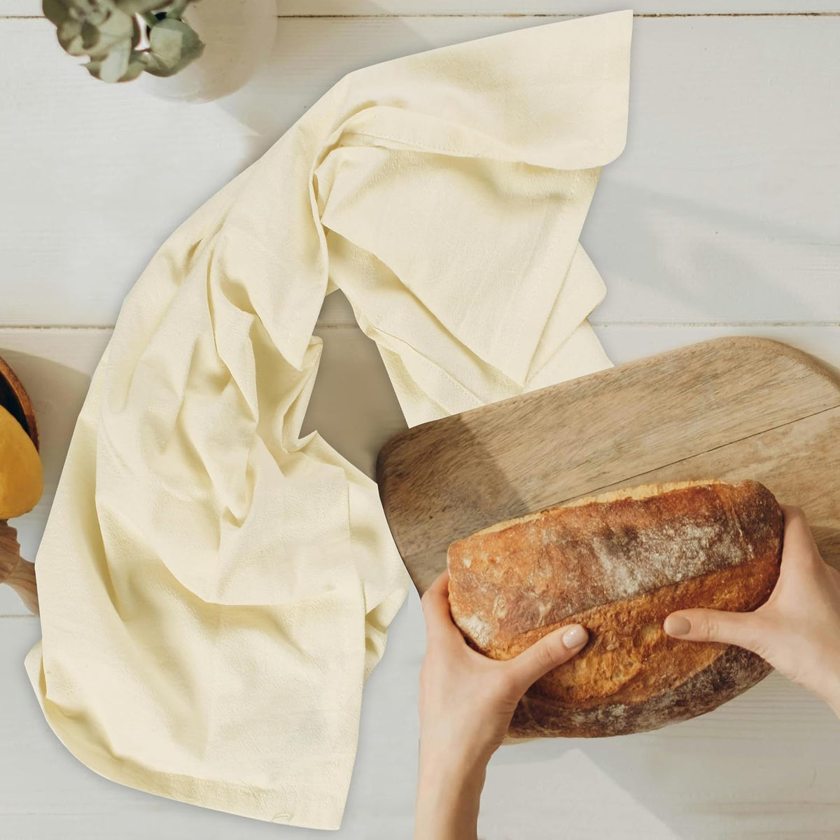 Urban Villa Kitchen Towels Cotton Dish Towels 27”x27” (Set of 8) Ivory