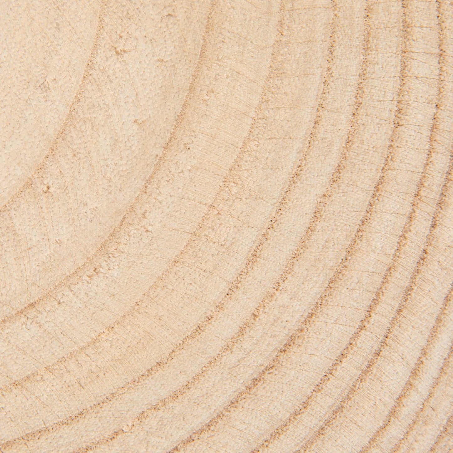 Large Paulownia Wood Pedestal / Raw Finish / Set of 11