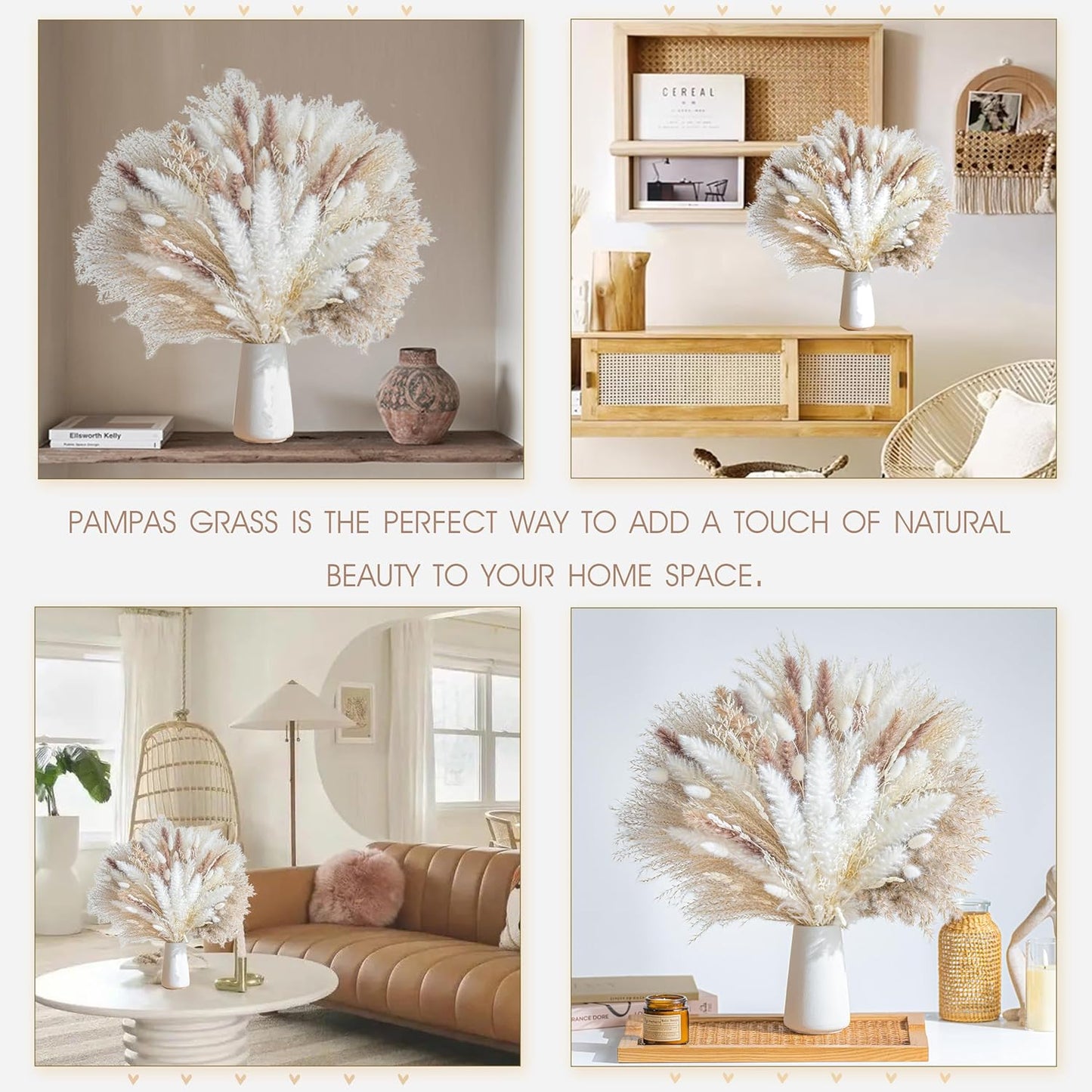 Dried Pampas Grass Boho Home Decor Bouquet Phragmites Dried Flowers Bouquet / Natural / Set of 650