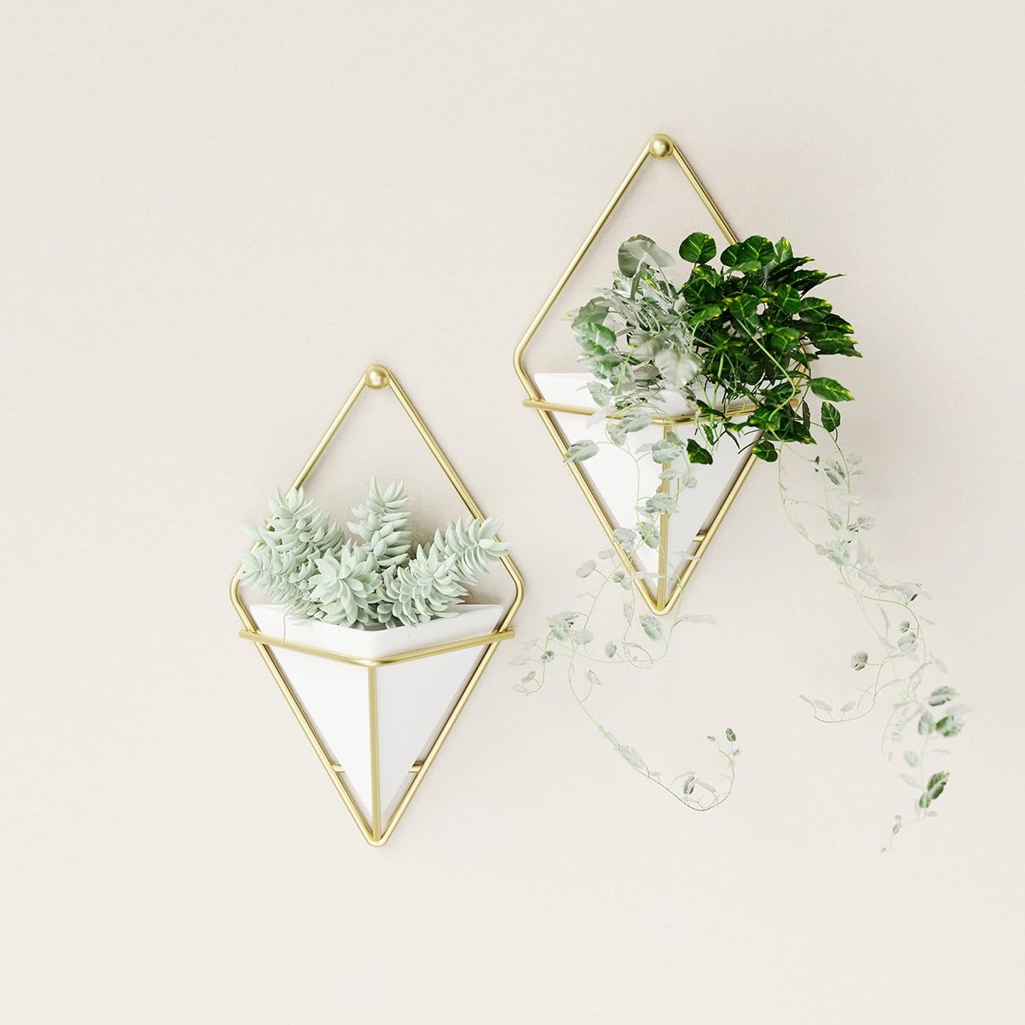 Faux Plants / Pots Containers for Succulents / White/brass / Small / Set of 2