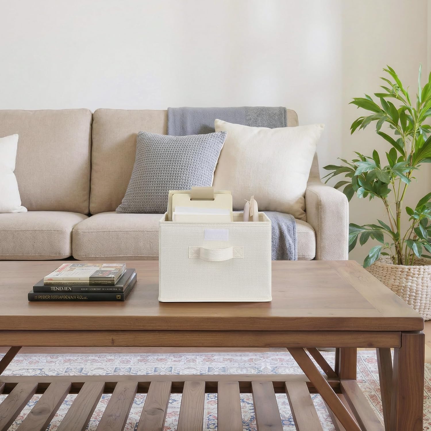Storage Bins / Storage Boxes / Ivory White / Small / Set of 2