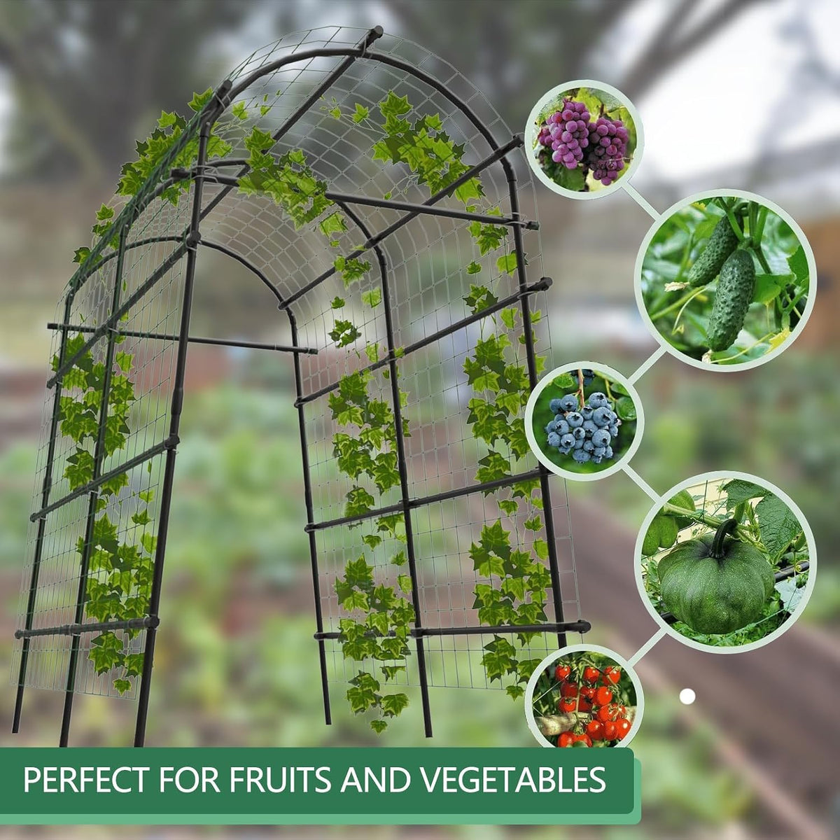 Metal Garden Arch Trellis, 7.6Ft Black for Raised Beds, Plant Support for Cucumbers & Climbing Vegetables with 9