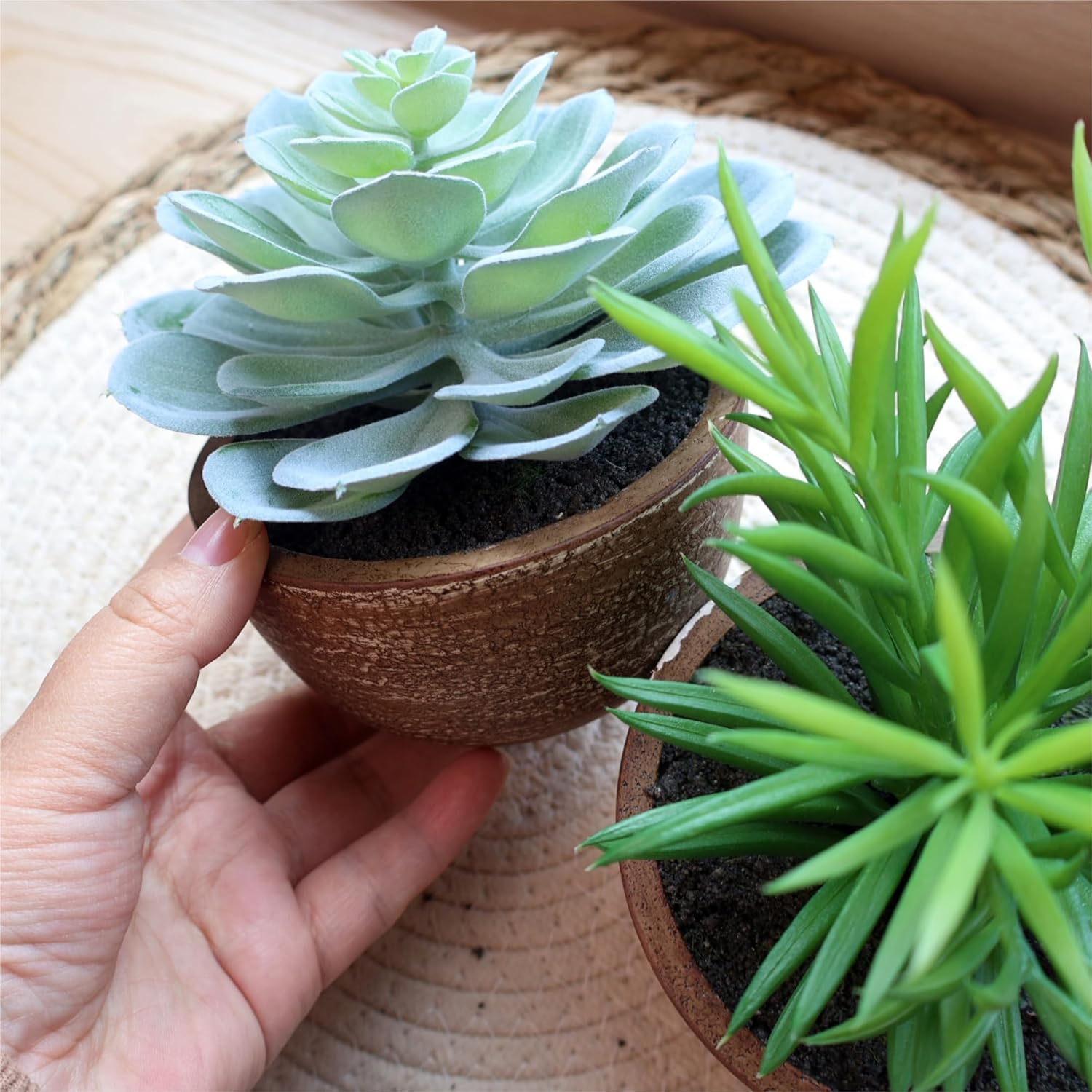 Artificial Succulents Plastic Artificial Plant / Succlents In Pots / Green / Set of 2