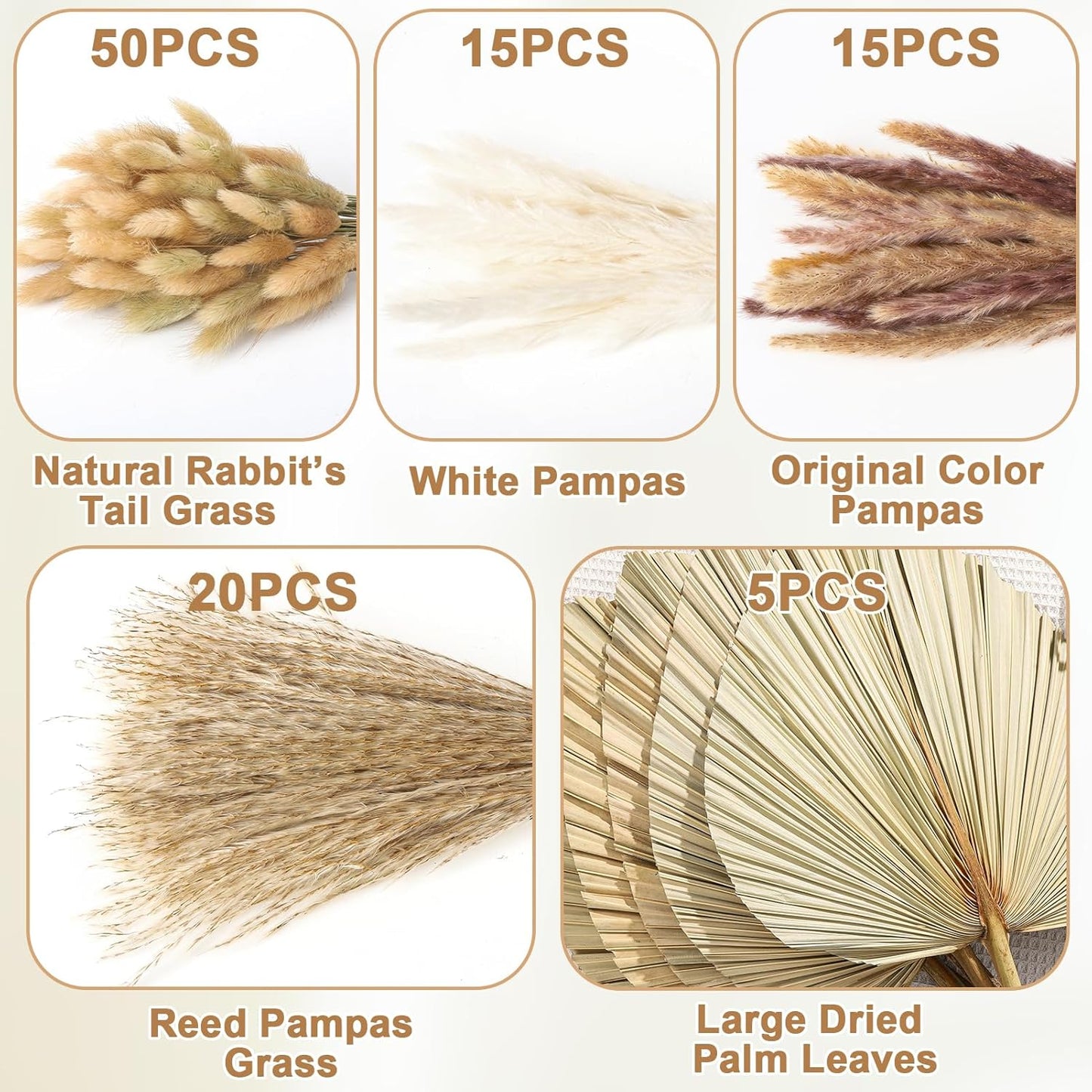 Boho Dried Pampas Grass Decor Bulk / Set of 105