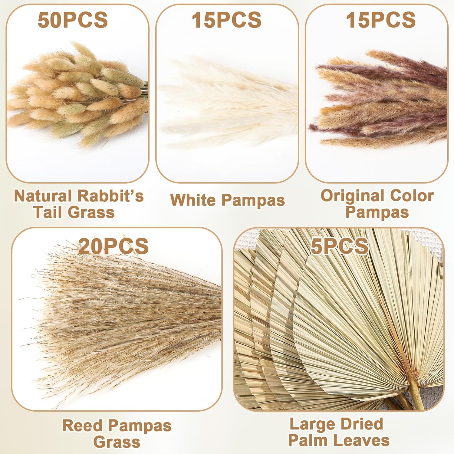 Boho Dried Pampas Grass Decor Bulk / Set of 105
