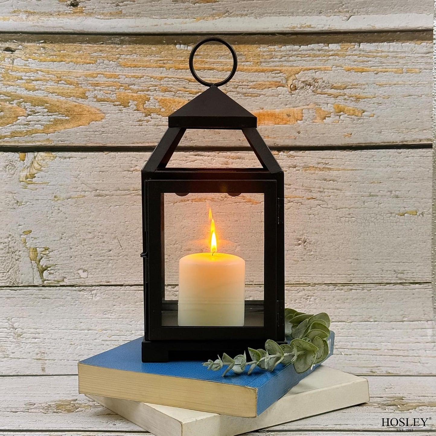 Hosley 12 Inch High Clear Glass and Iron Classic Style Lantern Ideal Gift for Festivities Parties Weddings Aromatherapy