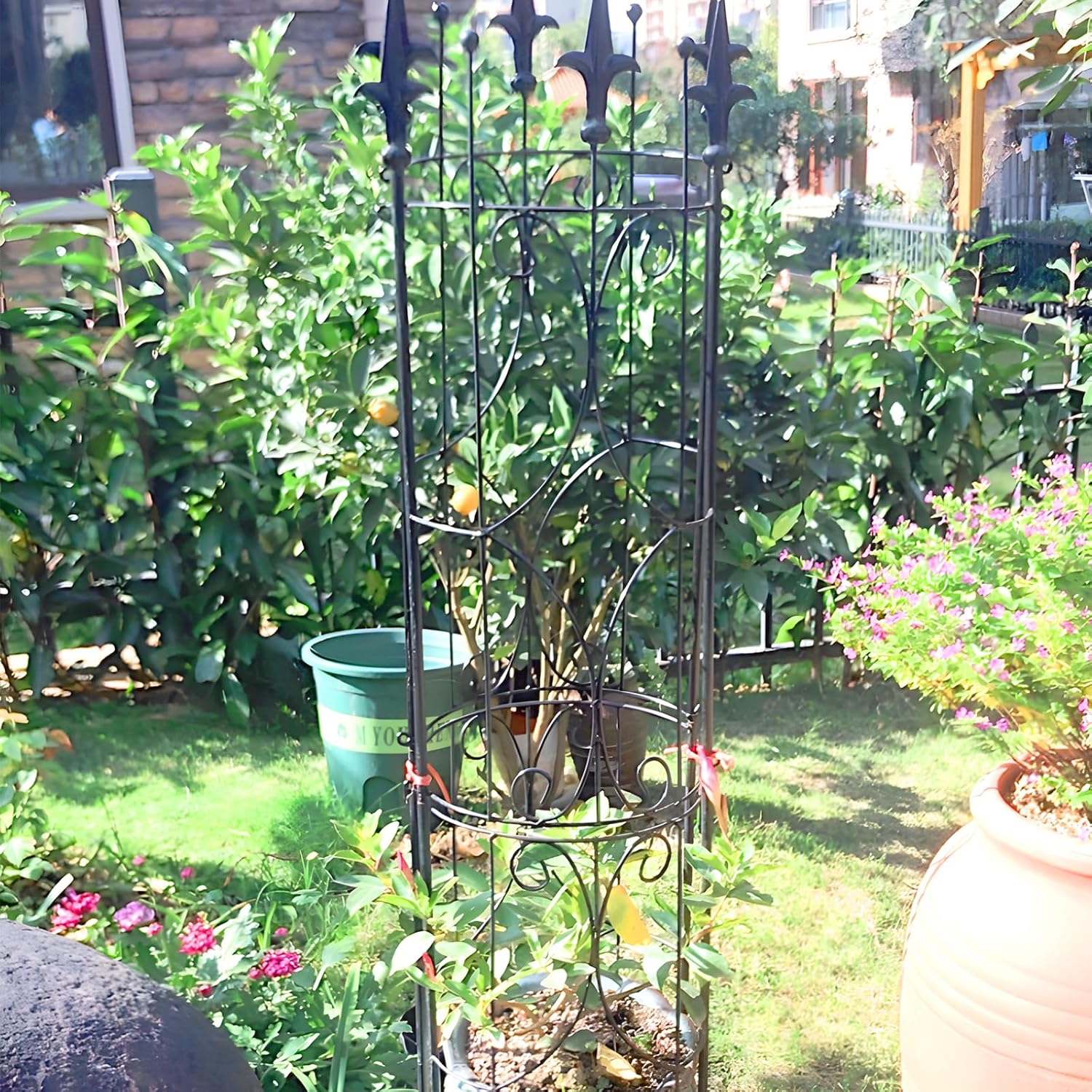 Garden Trellis 2 Pack 72'' H x 12'' W Metal Plant Trellis | Indoor/Outdoor Metal Garden Trellis Plant Trellis for