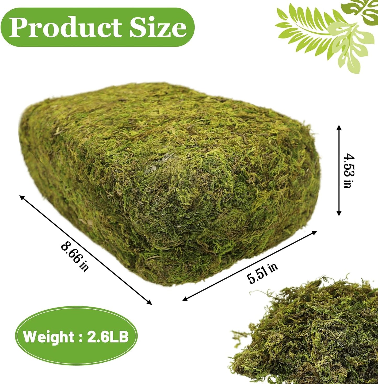 2.6LBS Artificial Fake Moss for Fake Plants Indoor- Faux Craft Moss for Potted / 2.6 Lb / Green