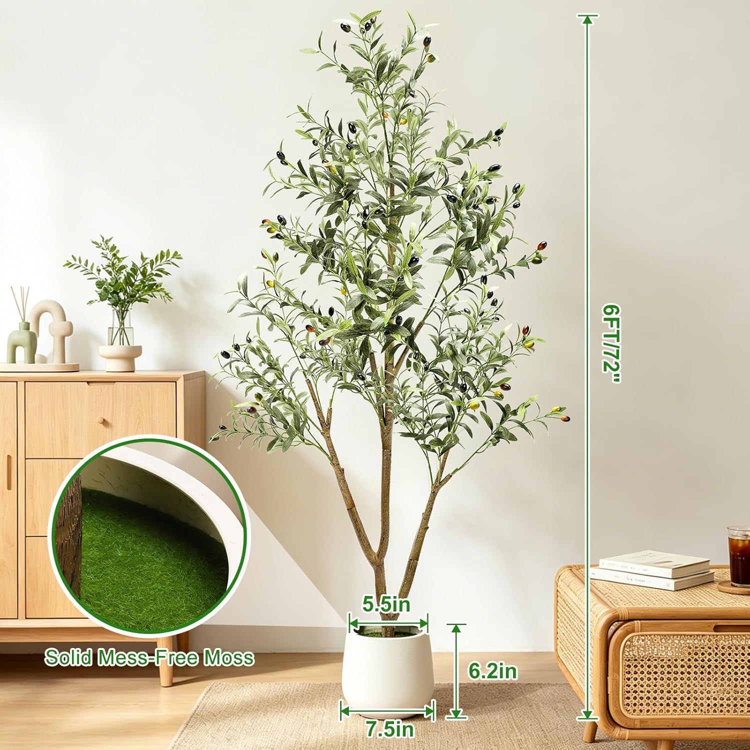 Lights & Planter / Realistic Faux Olive Trees / 6ft / 6 Inch