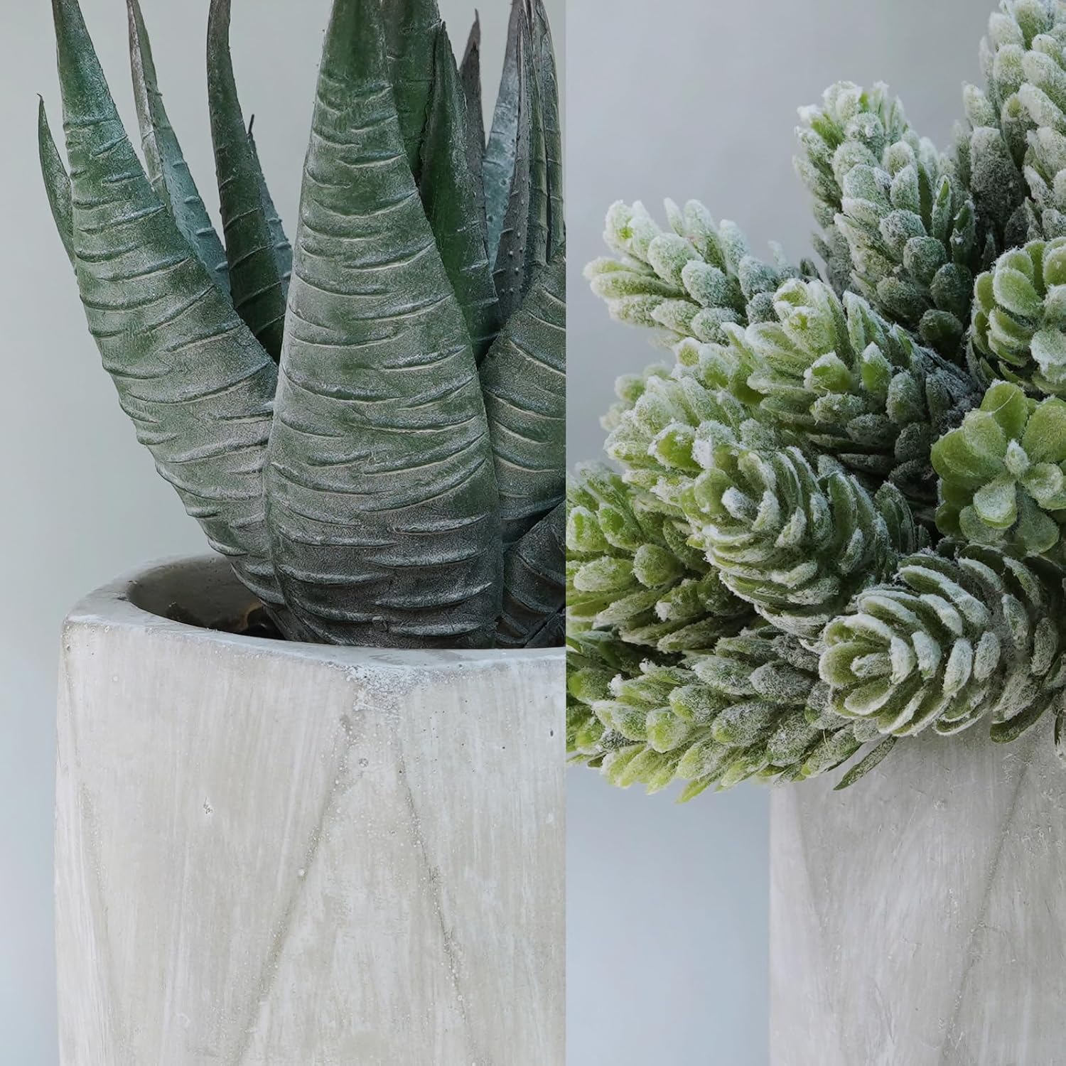 Mini Artificial Succulent Plants Potted Small Fake Aloe Hops String of Pearls / Gray / Set of 3