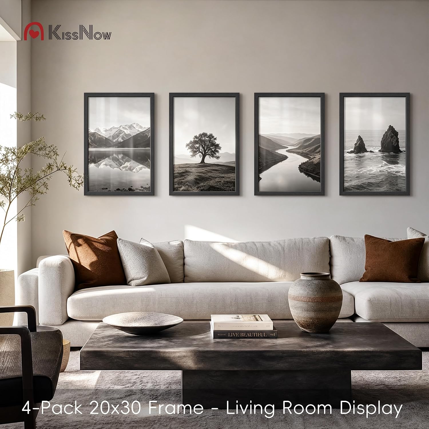 20x30 Poster Frame 4 Pack, Black Solid Wood, Gallery Wall Decor | Wall Hanging, Thick & Wide Border, Clear Plexiglass