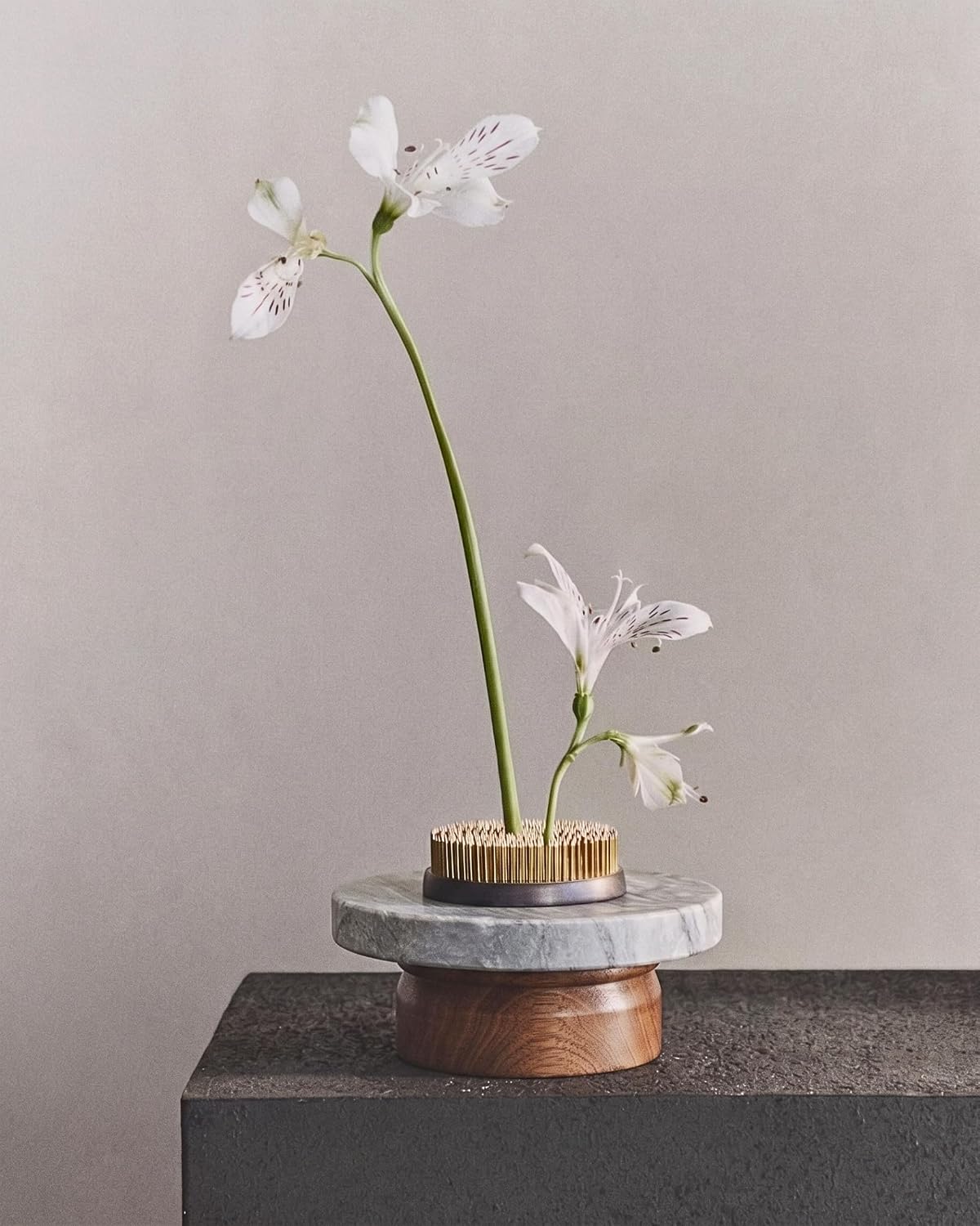 Pedestal Tray / Stone Wood Round Riser / Grey