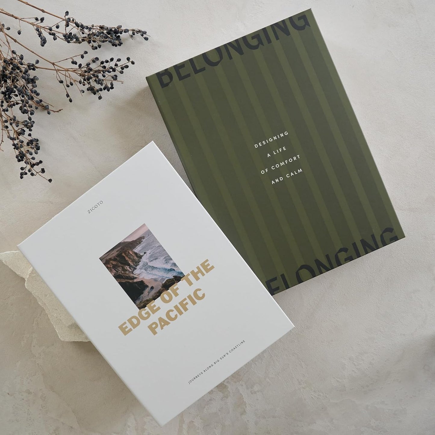 Decorative Books / Boxes Coffee Table / Olive & Cream / Set of 2