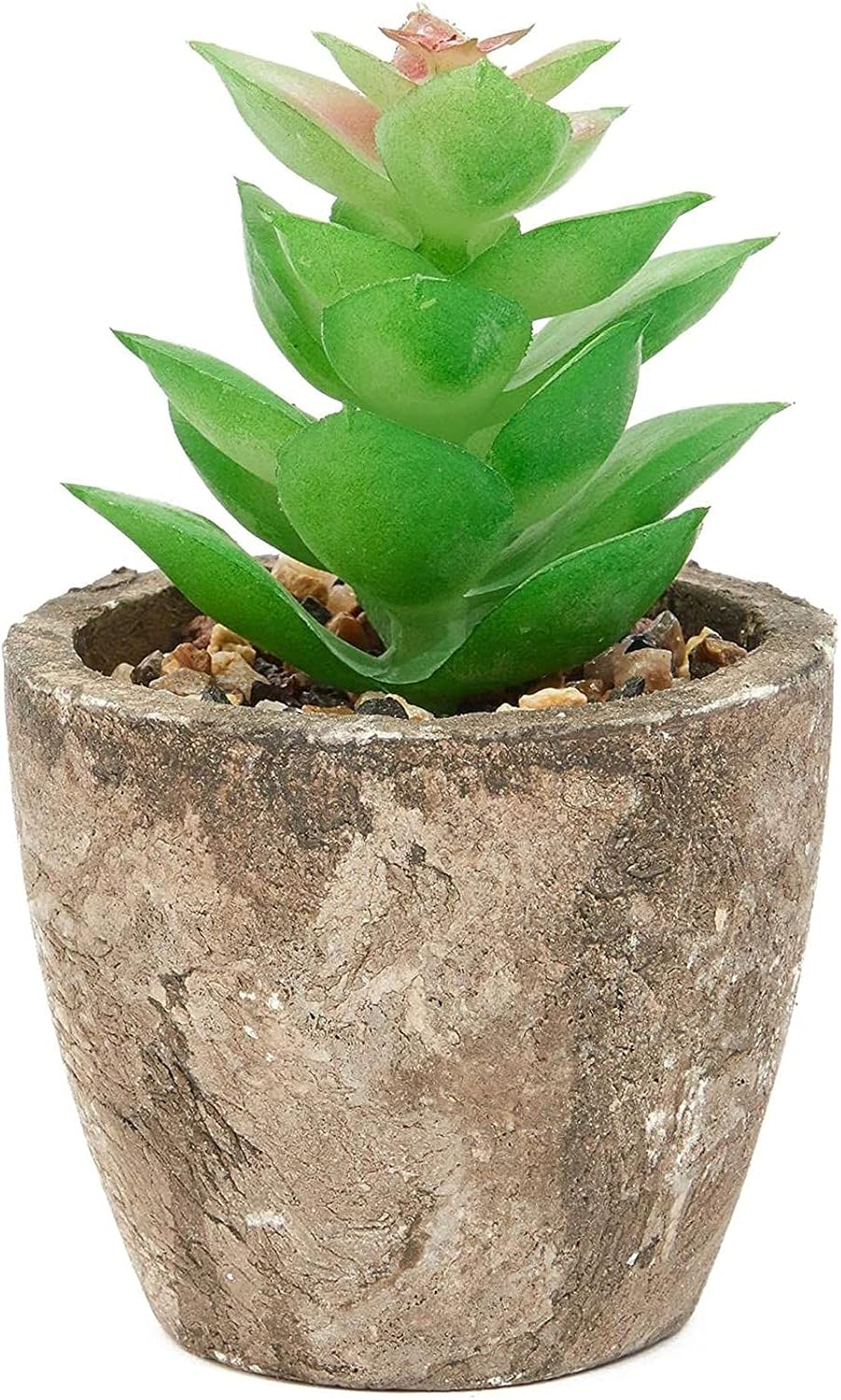 Maintenance-Free Artificial Plants