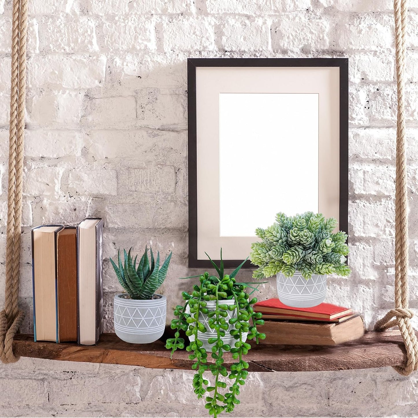Mini Faux Succulent Potted Plants Artificial Aloe Hops String of Pearls Fake / Gray / Set of 3