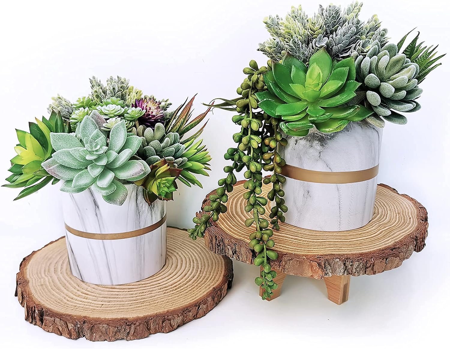 Winlyn Unpotted Fake Succulents Assorted Faux Succulent in Different Artificial / Green / Set of 6