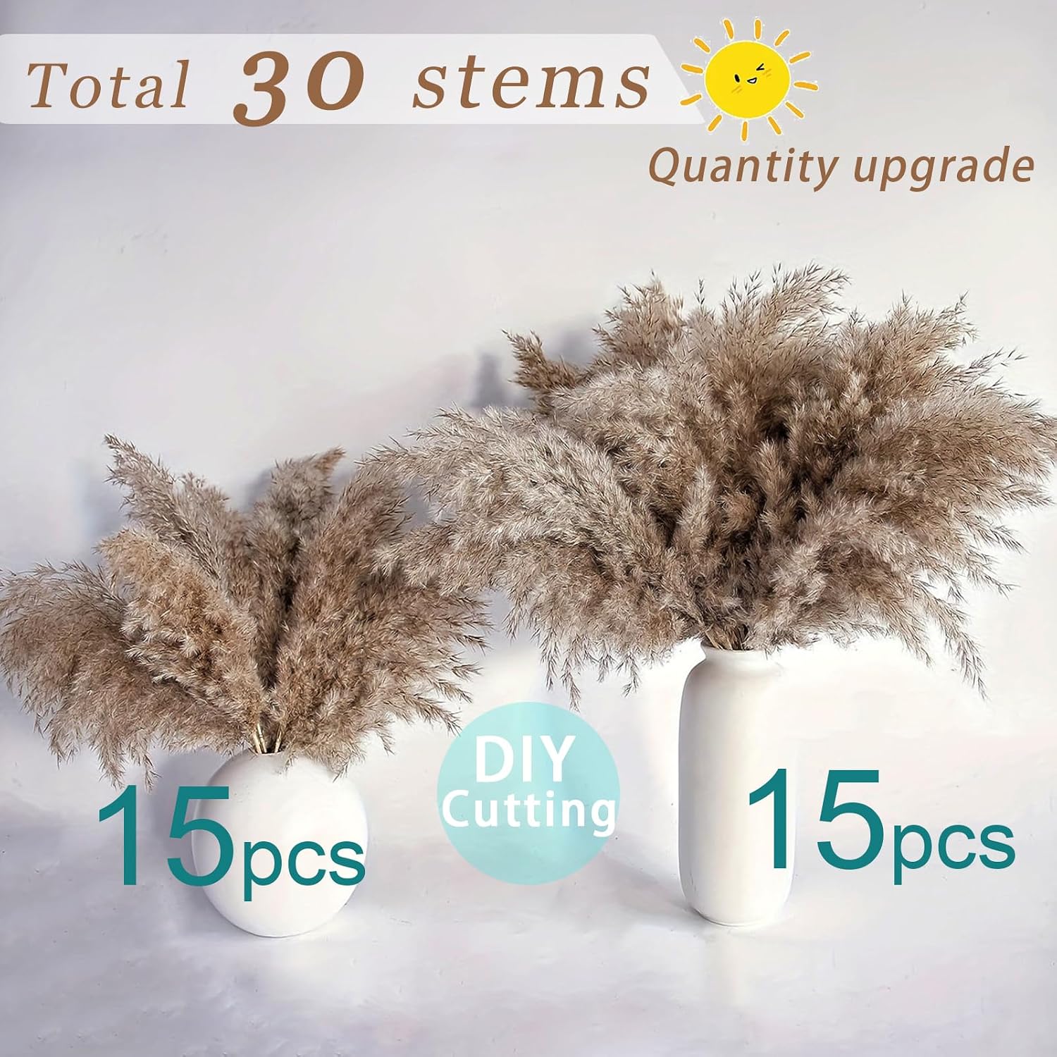 Tall Fluffy Pompas Grass for Floor Vase / 30brown - 17 Inch / Natural / 17 Inch