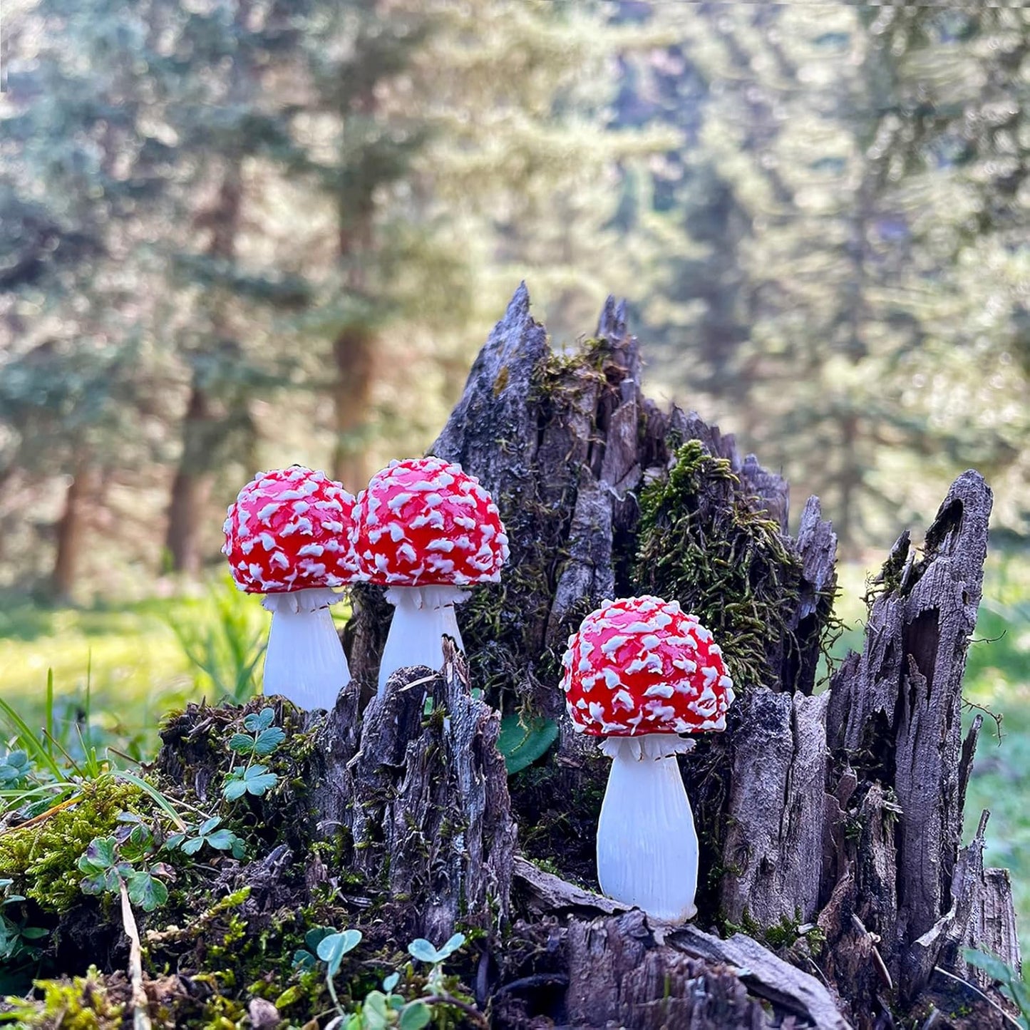 DIY Mini Mushrooms for Terrariums Potted Plant Holiday / Set of 5