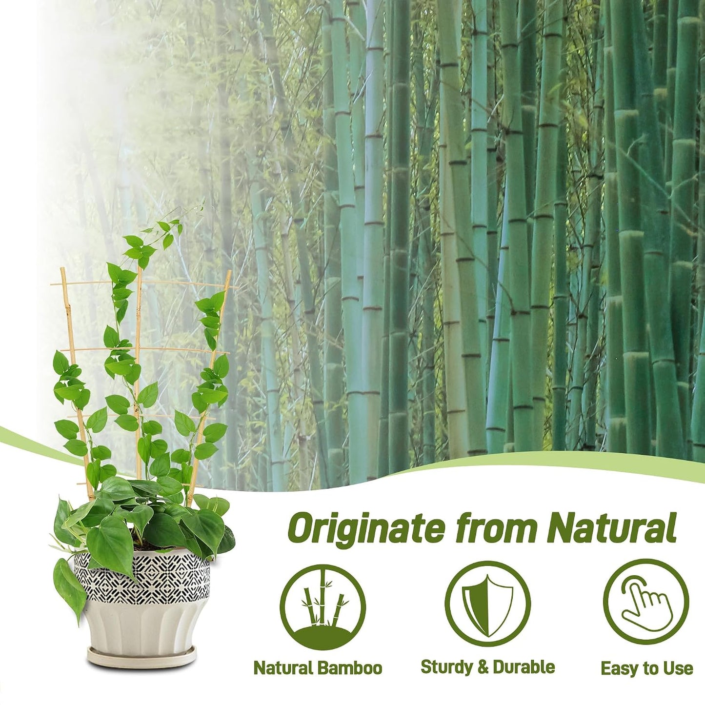 Avalution 10 Pack Bamboo Trellis for Climbing Plants, 2 FT Garden Ladder Trellis for Potted Plants Indoor, Fan-Shaped