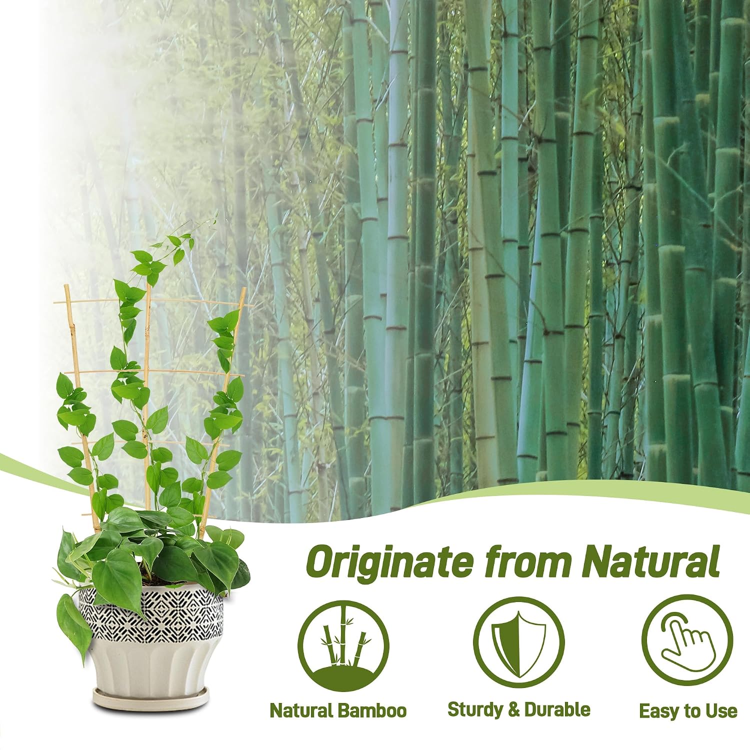 Avalution 10 Pack Bamboo Trellis for Climbing Plants, 2 FT Garden Ladder Trellis for Potted Plants Indoor, Fan-Shaped