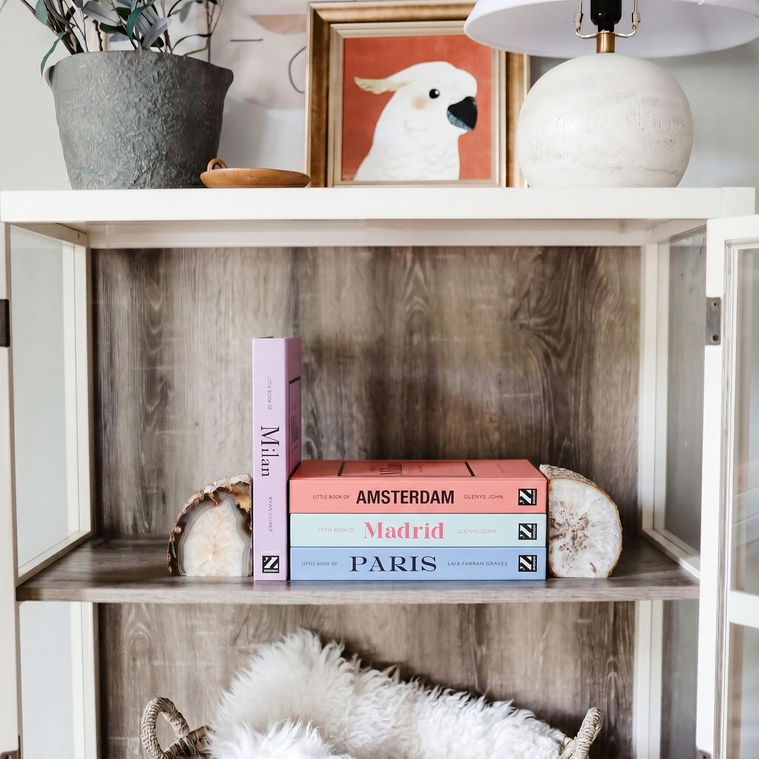 Not Real Books / Pastel_medium / Set of 4