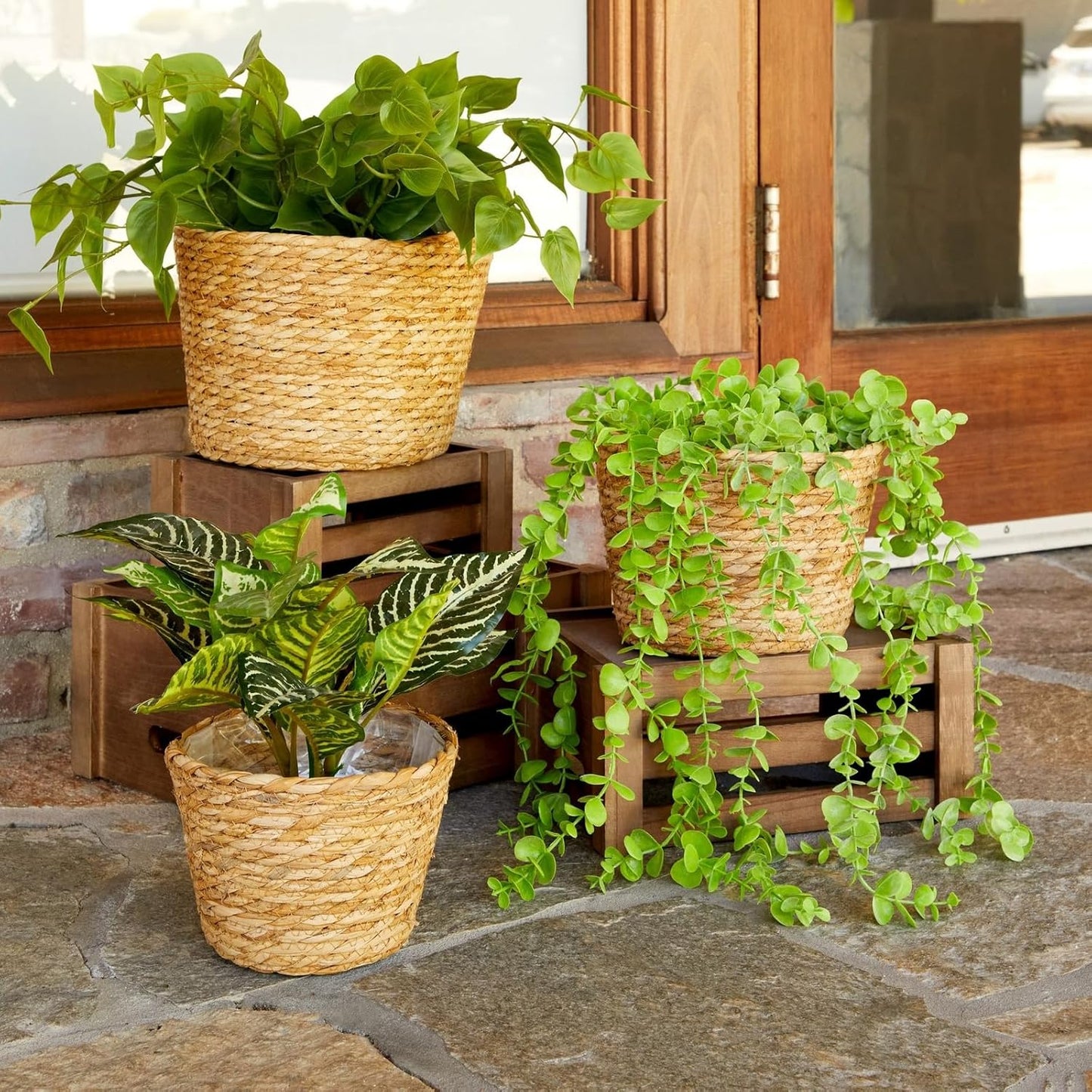 Seagrass Indoor Planter Set