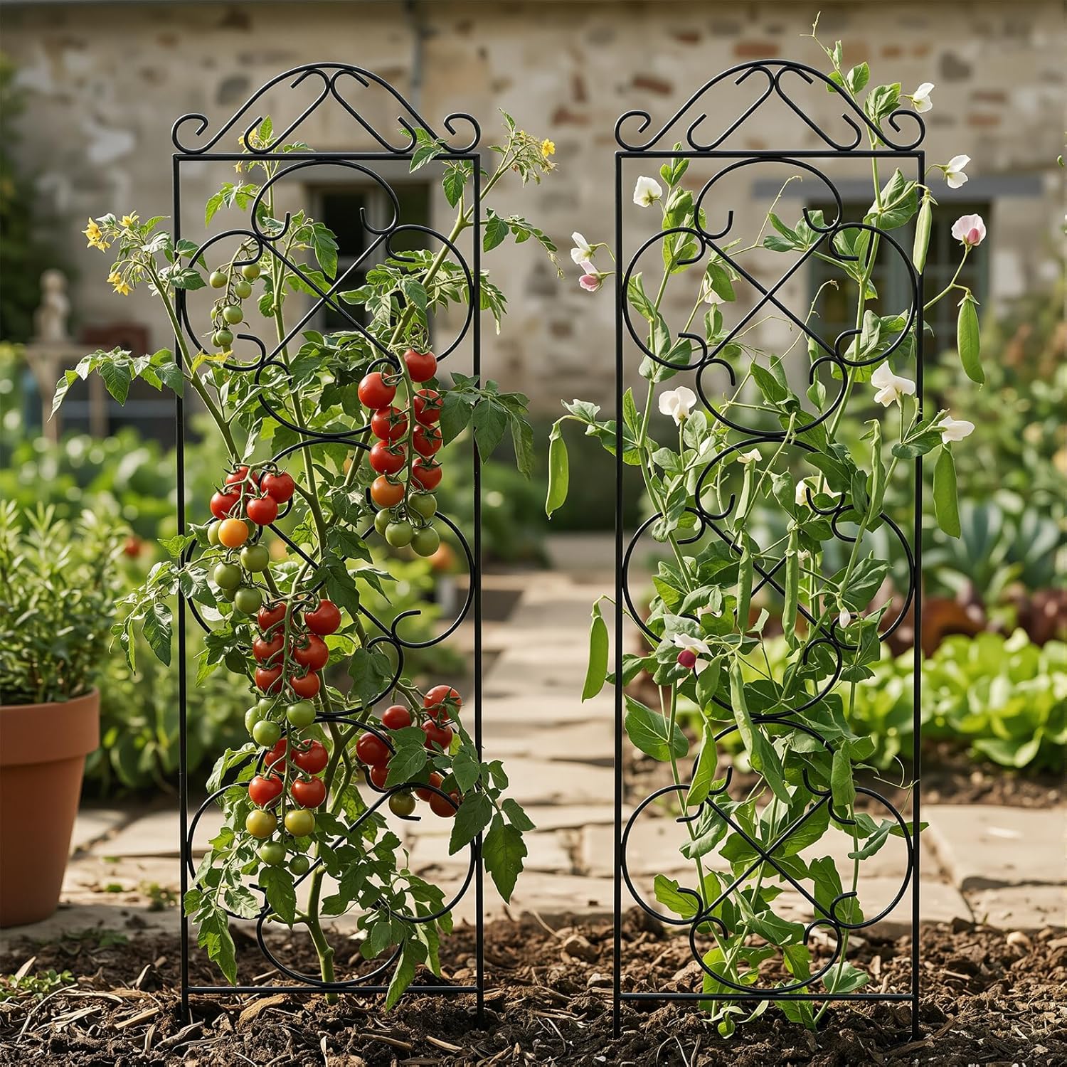 4 Pack 48" x 12.5" Metal Trellis for Potted Plants and Planters | Garden Trellis for Climbing Plants,Rust-Resistant