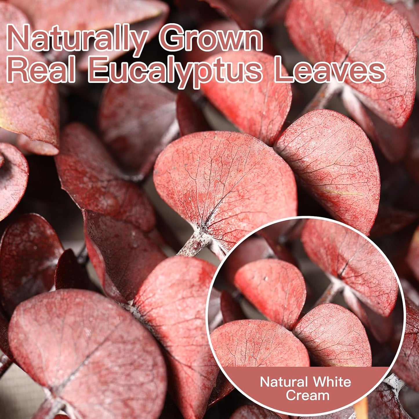 17'' Natural Real Live Eucalyptus Leaves Branches Hanging Shower / Red / Set of 20