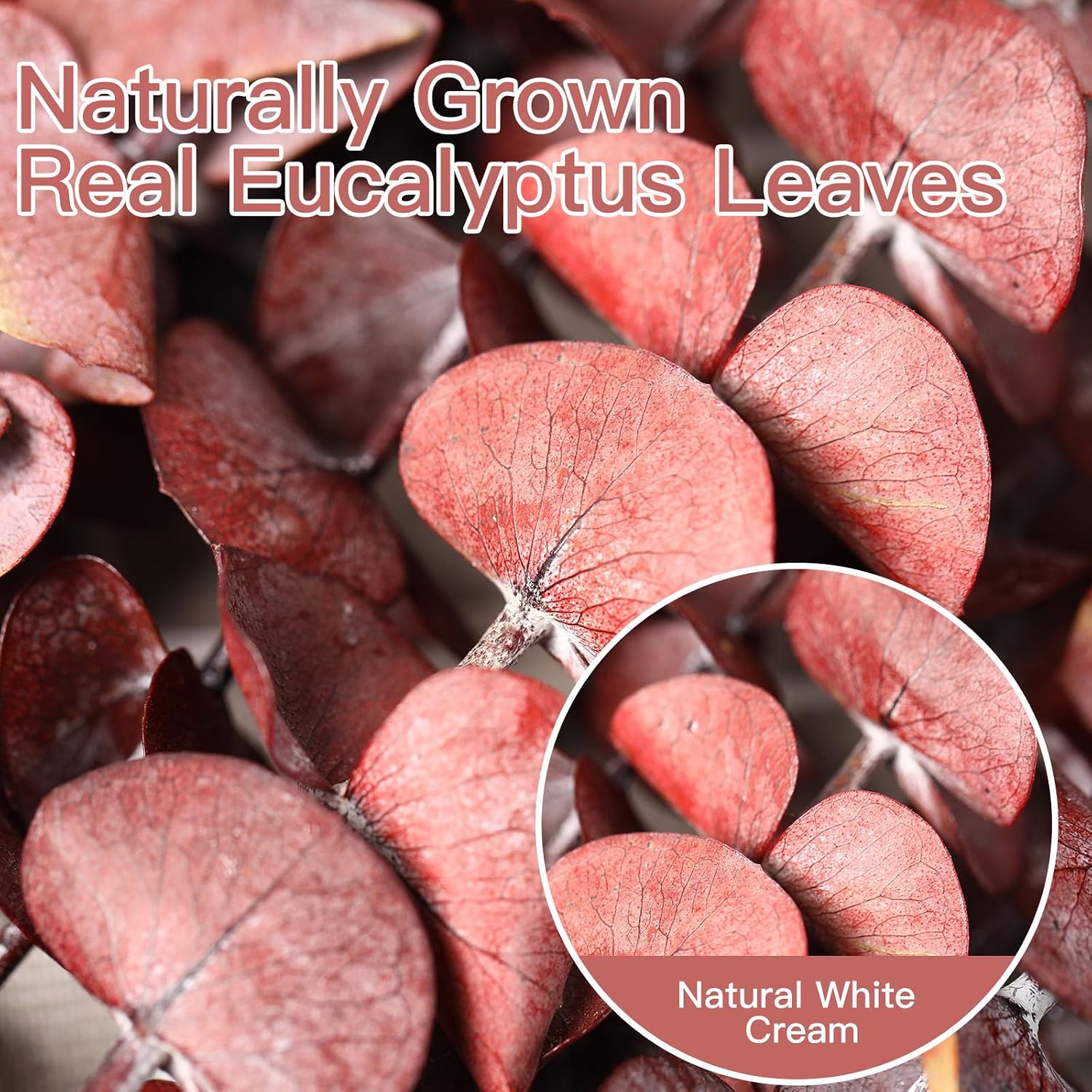 17'' Natural Real Live Eucalyptus Leaves Branches Hanging Shower / Red / Set of 20