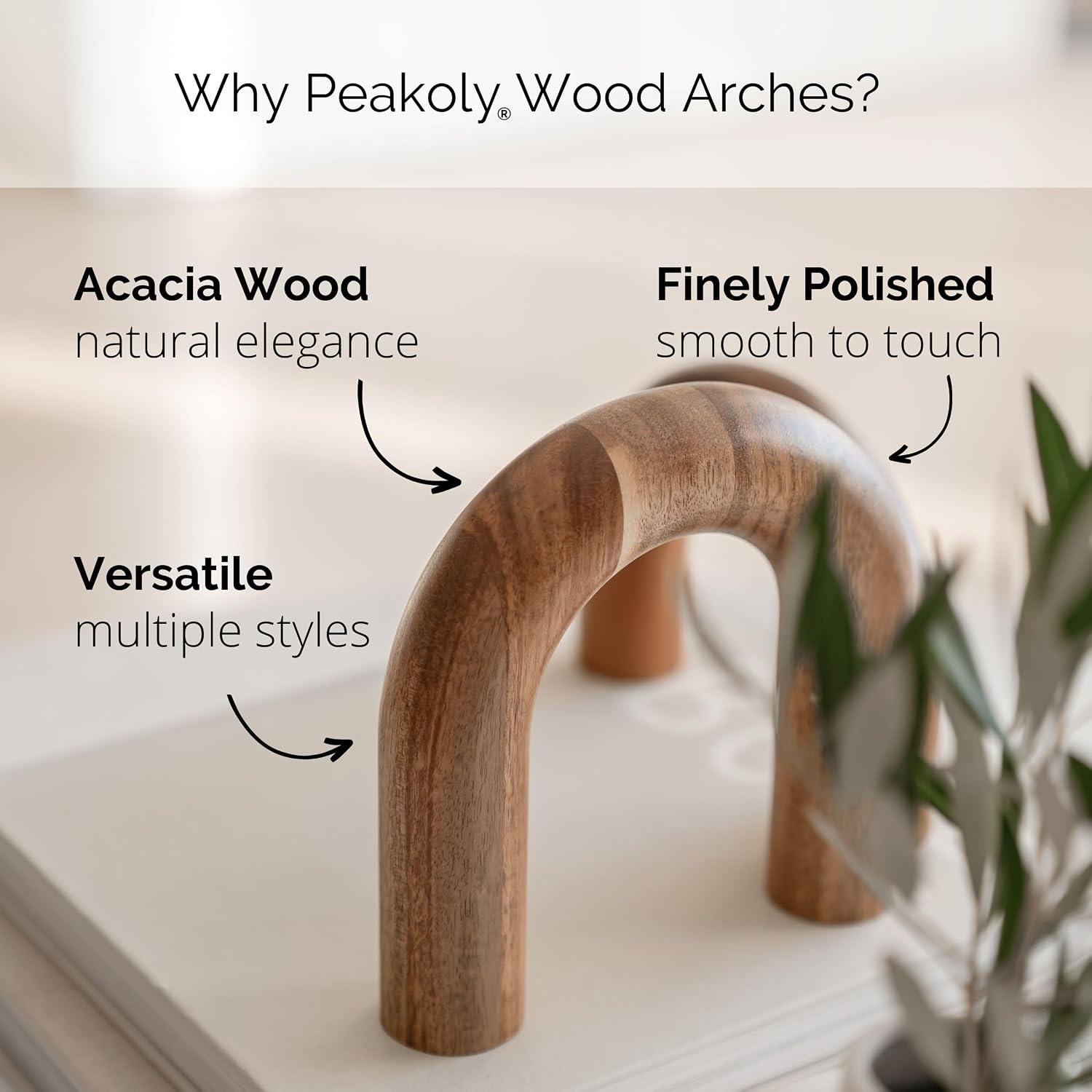 Wood Arch Bookshelf Decor / Brown / 2-piece