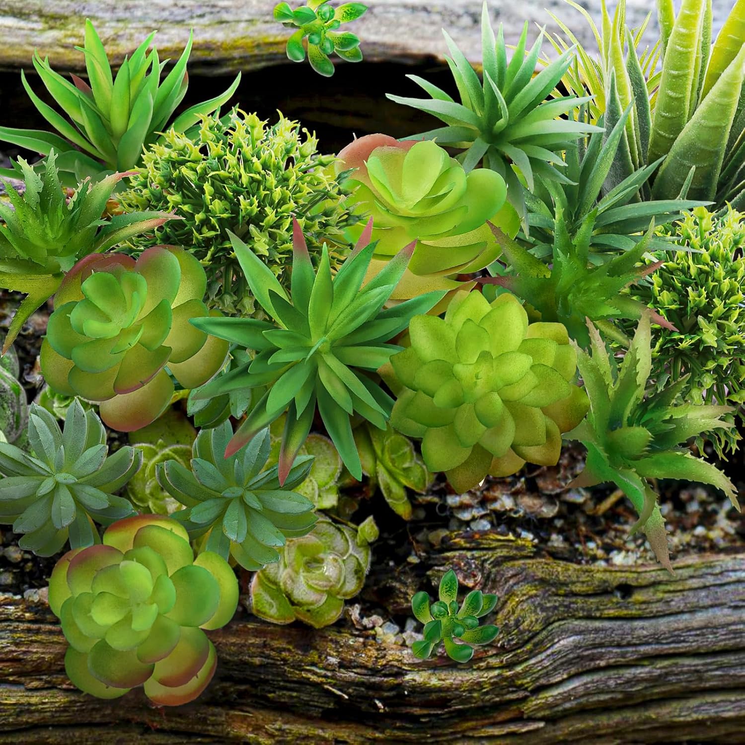 Artificial Succulents Realistic Mini Succulent Plants / Green / Set of 22