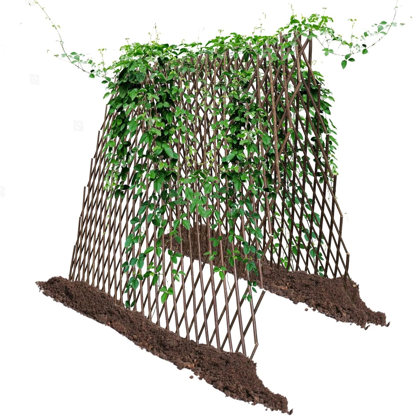 Nature Willow Trellis Expandable Plant Support Plant Climbing Lattices Trellis Willow Expandable Trellis Fence for