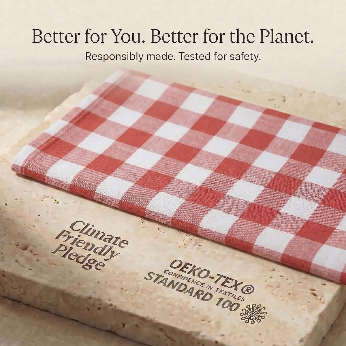 Urban Villa Kitchen Towels Cotton Dish Towels 20”x30” (Set of 6) Rust