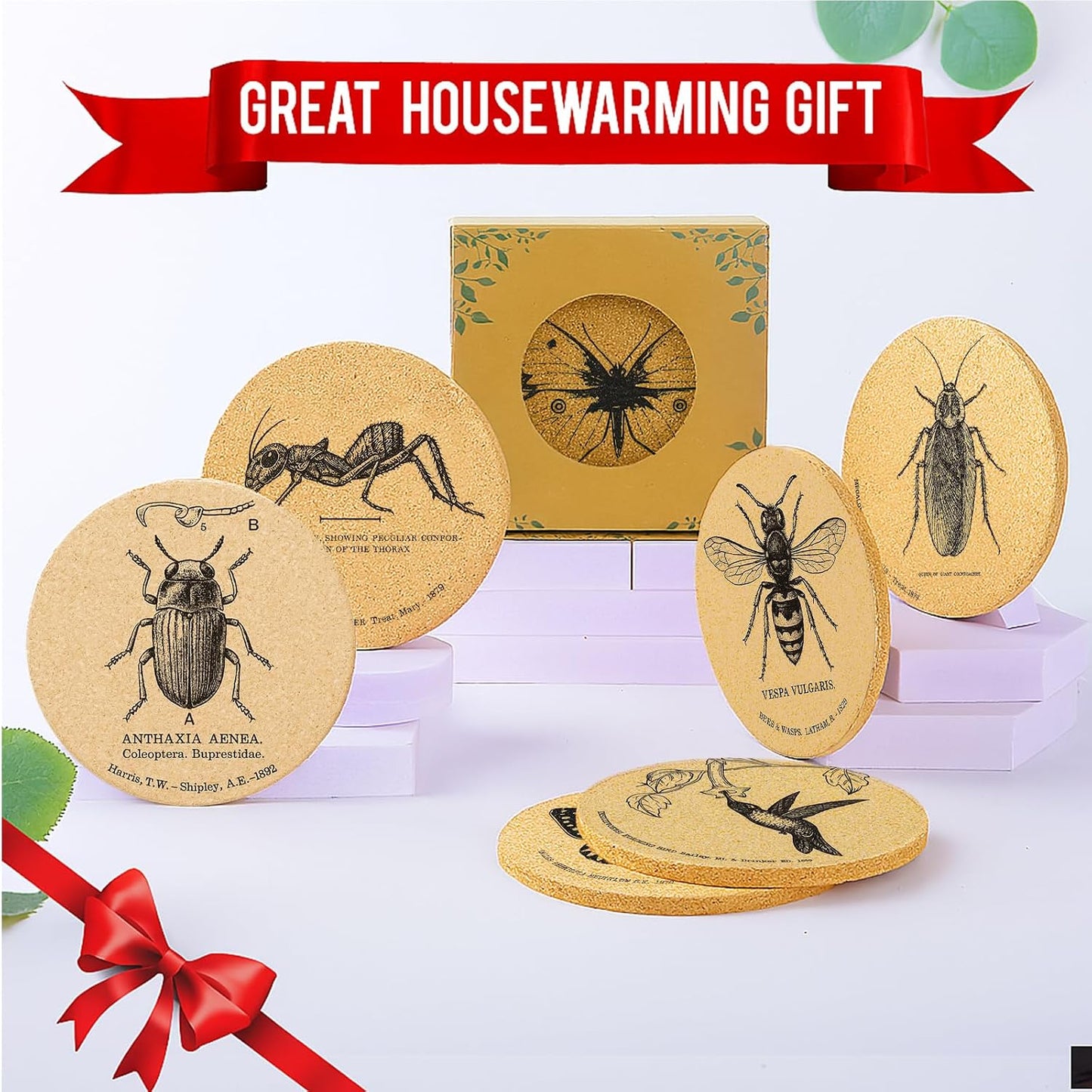 Holder / Coasters for Drinks / Insects / Set of 6