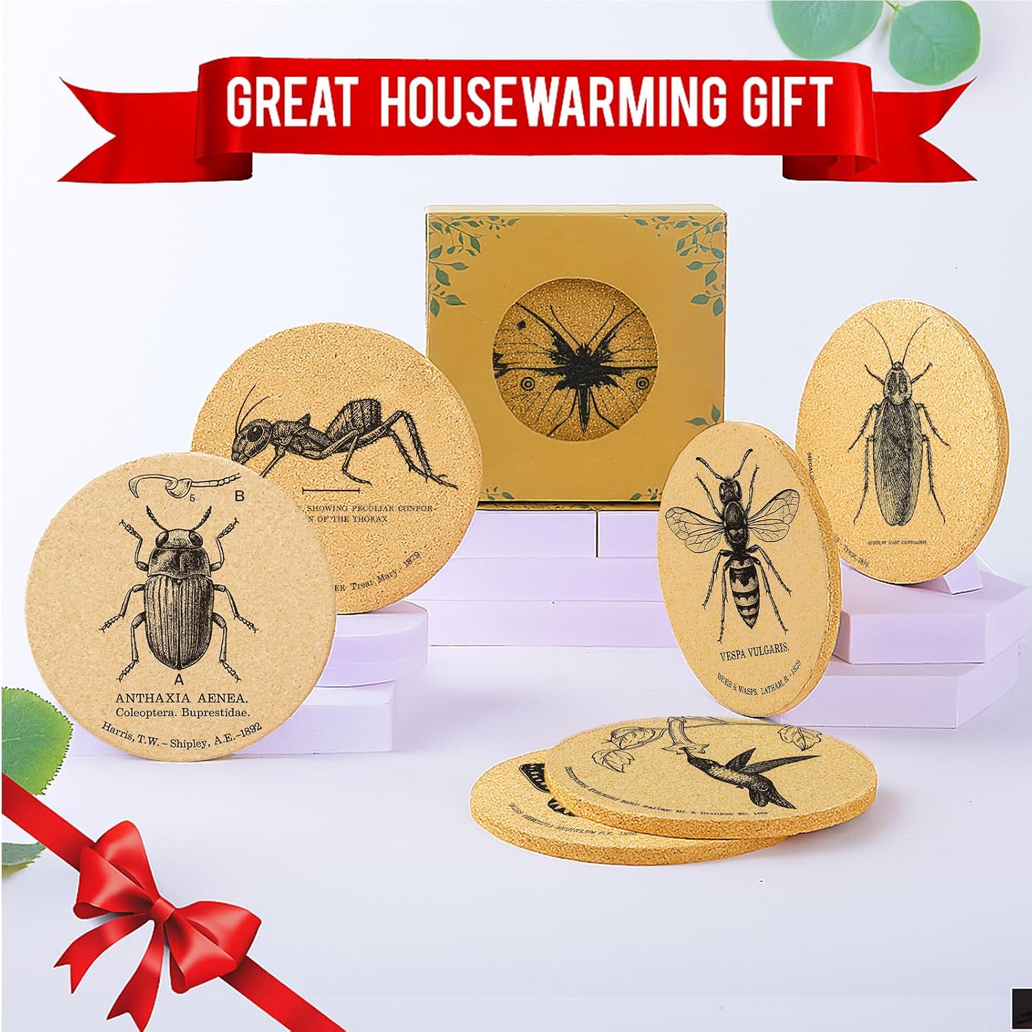 Holder / Coasters for Drinks / Insects / Set of 6
