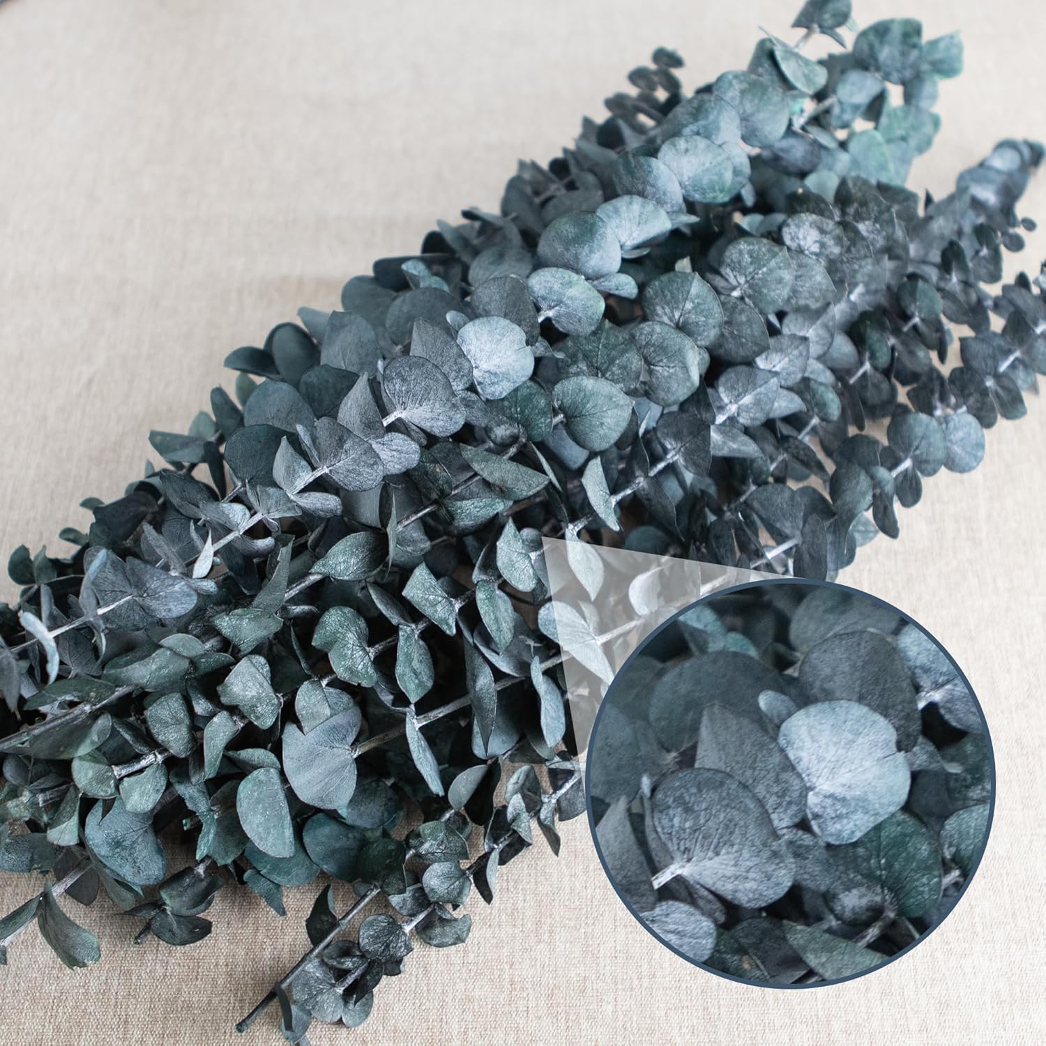 17" -Green Preserved Eucalyptus Stems for Vase / Blue / Set of 26