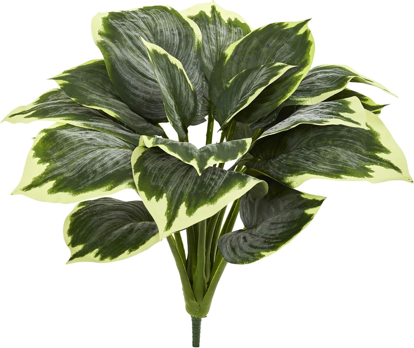 Variegated Hosta Artificial Plant / Set of 6