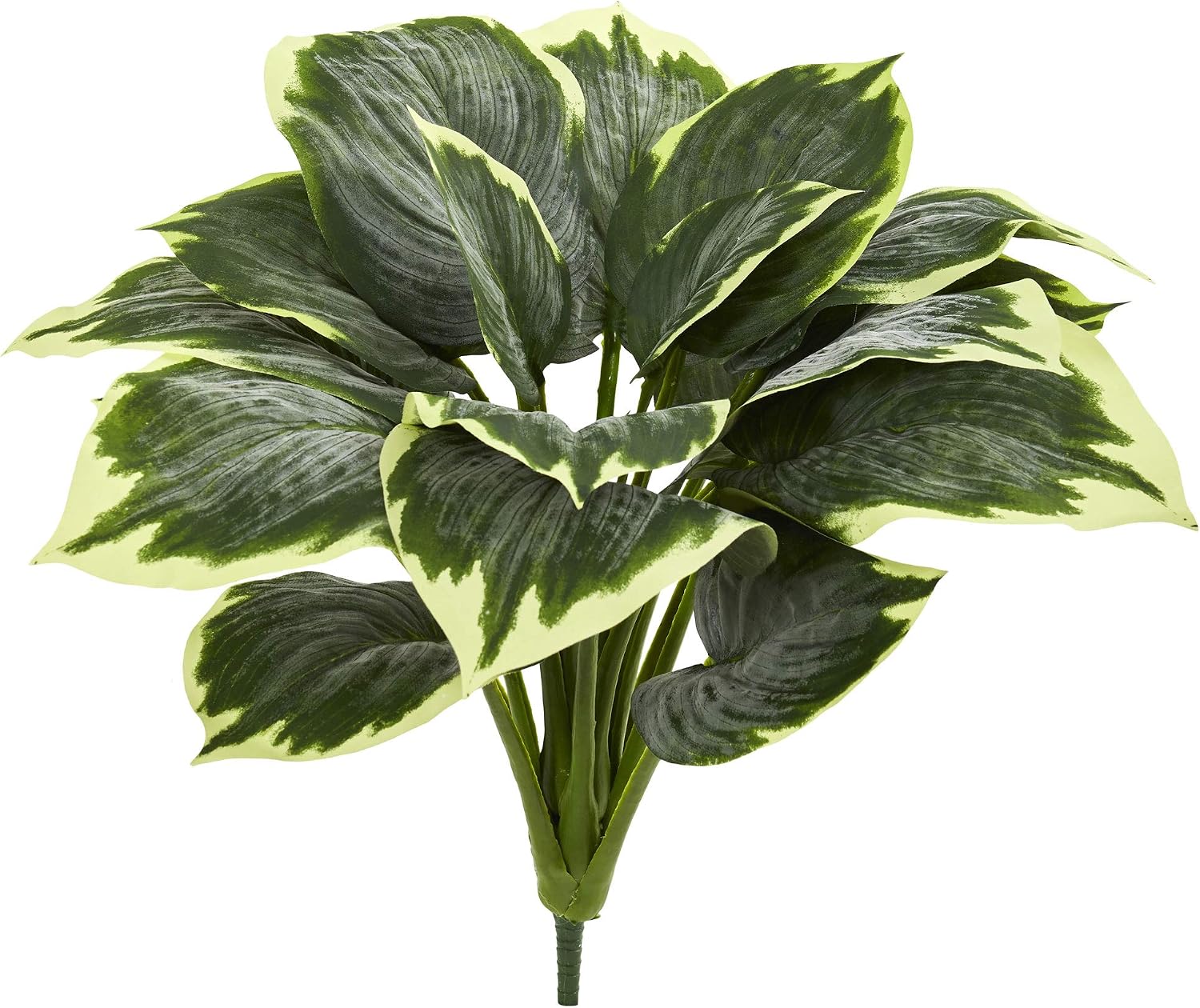 Variegated Hosta Artificial Plant / Set of 6
