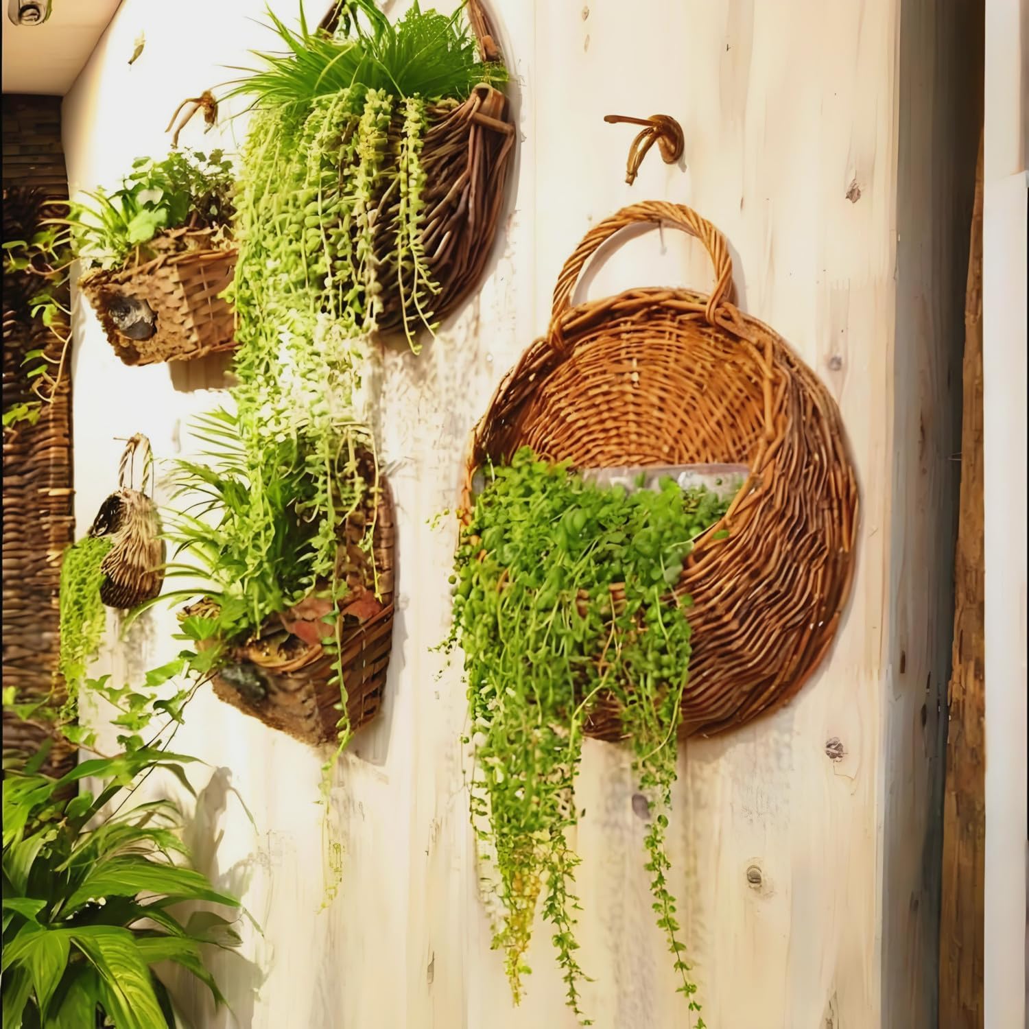 Handmade Wicker Hanging Basket for Plant Wall Mount Rattan Chlorophytum Comosum Hanging / Medium