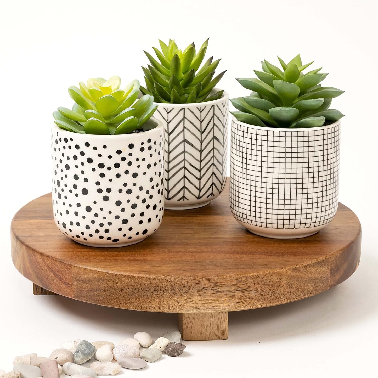 Faux Plants / Artificial Succulents in pots / Black / Set of 3